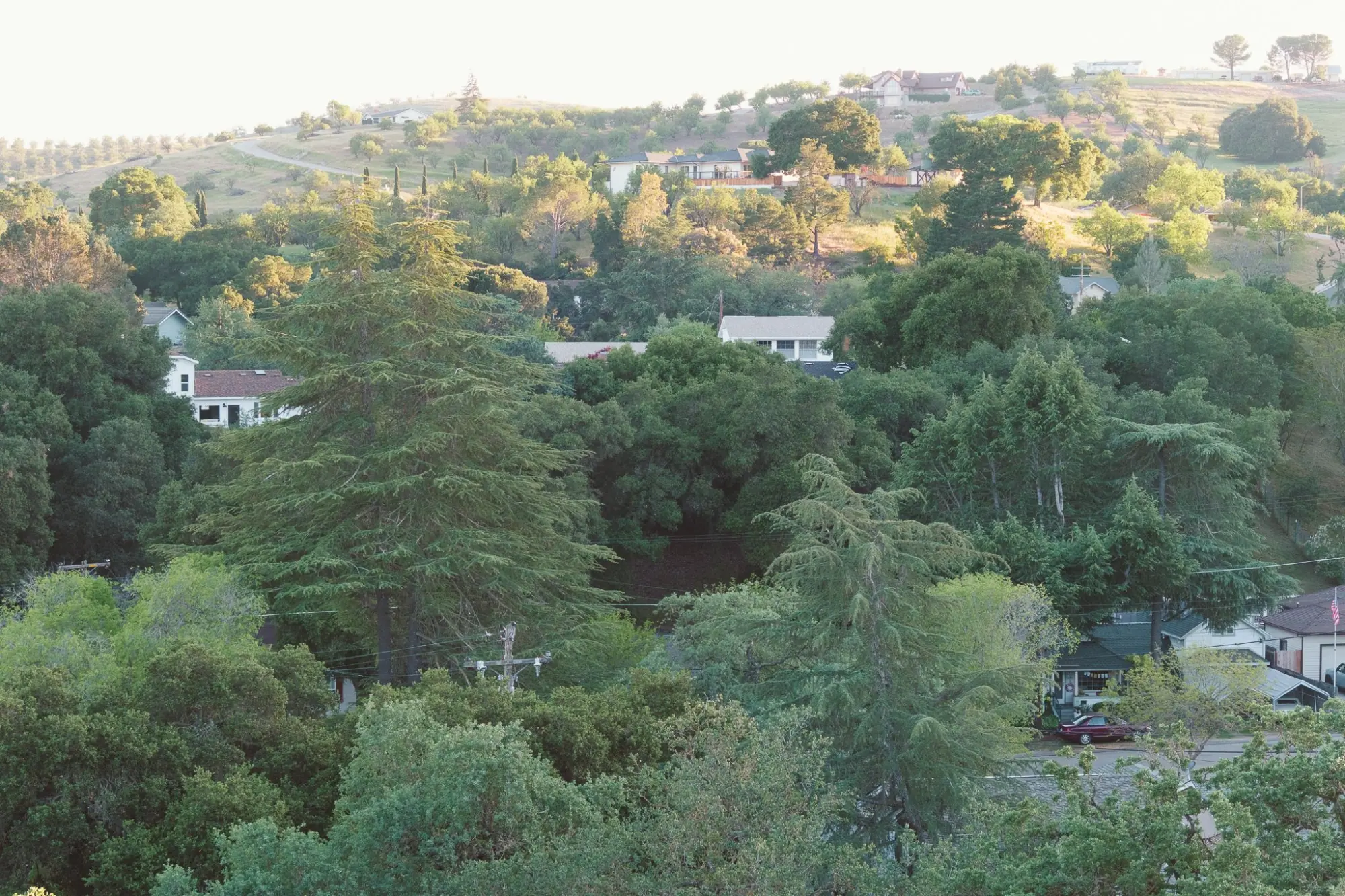 Photo from After TOP, we checked into our vacation rental in Terrace Hill, a beautiful home tucked into the hills…, Paso Robles, CA