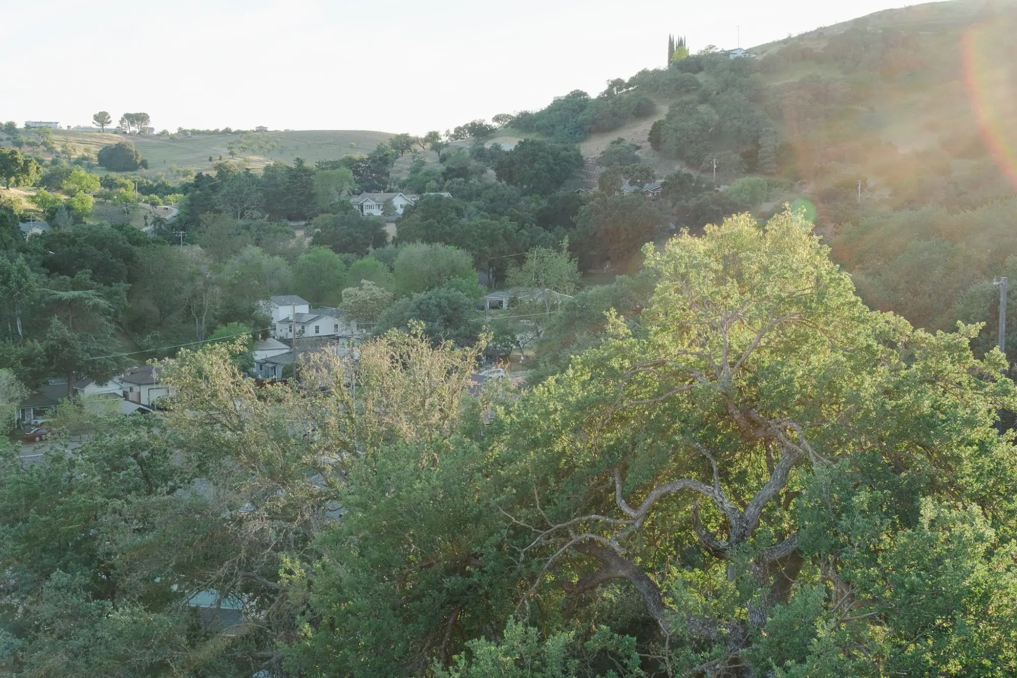 Photo from After TOP, we checked into our vacation rental in Terrace Hill, a beautiful home tucked into the hills…, Paso Robles, CA