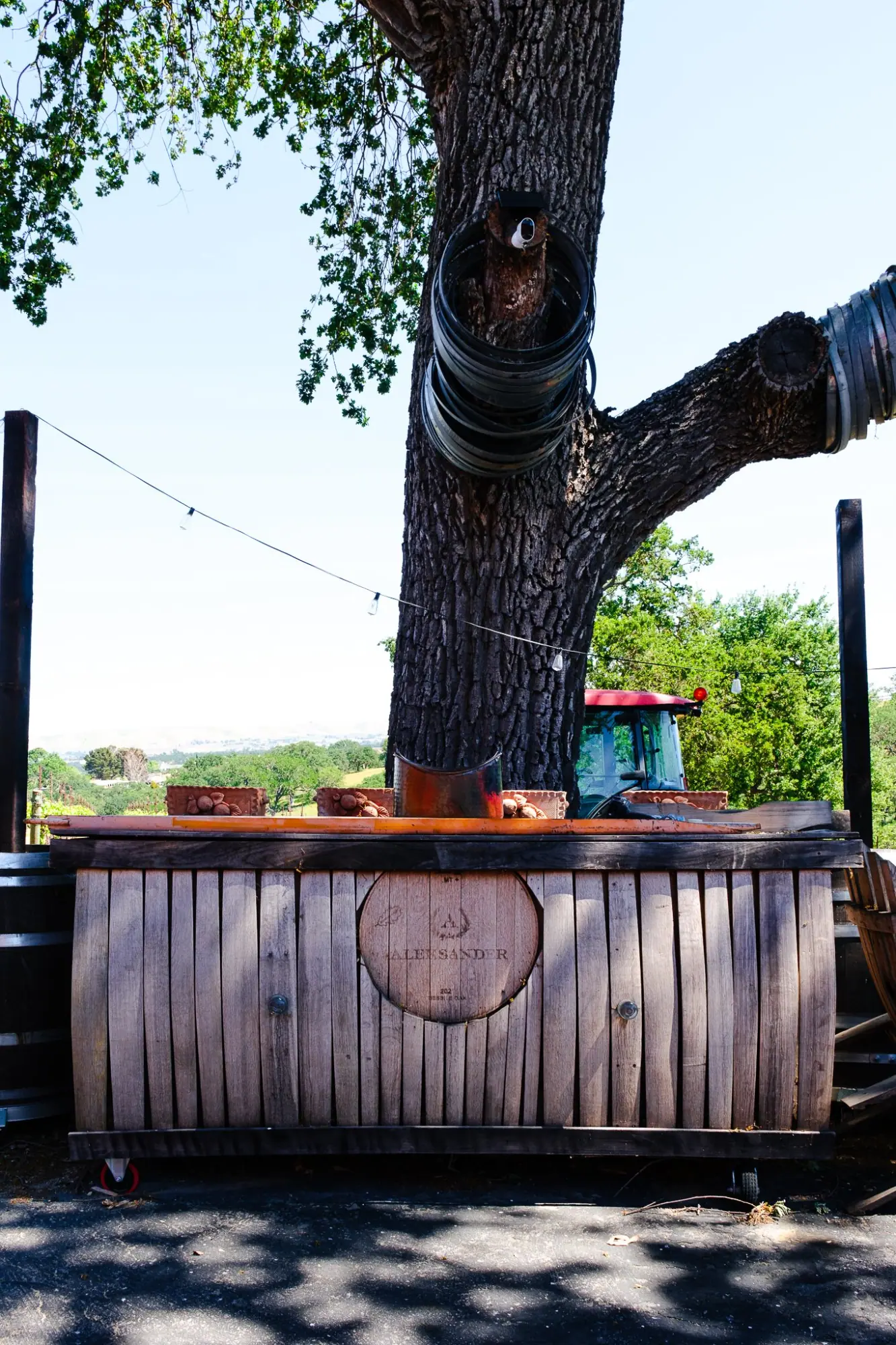 Photo from We started at Aleksander, where we were hosted by owner Goran, Paso Robles, CA