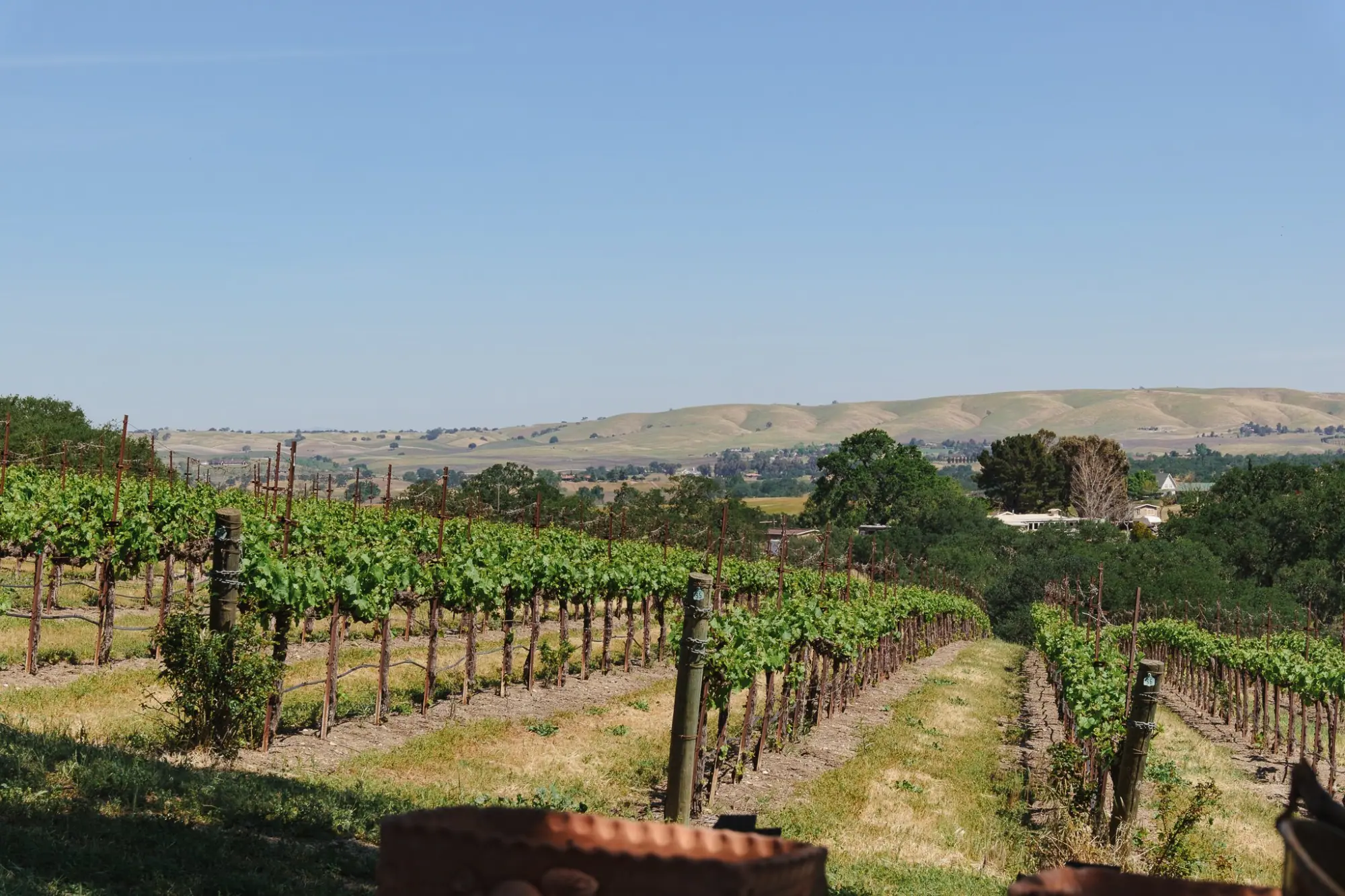 Photo from We started at Aleksander, where we were hosted by owner Goran, Paso Robles, CA