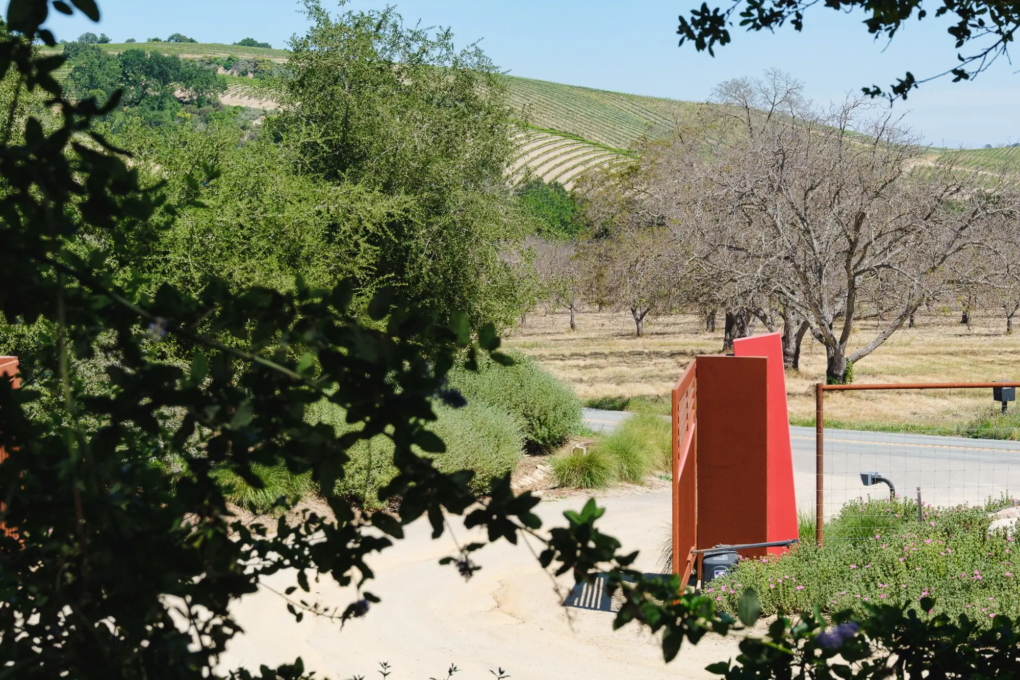 Photo from From there we headed to Sixmilebridge, Paso Robles, CA