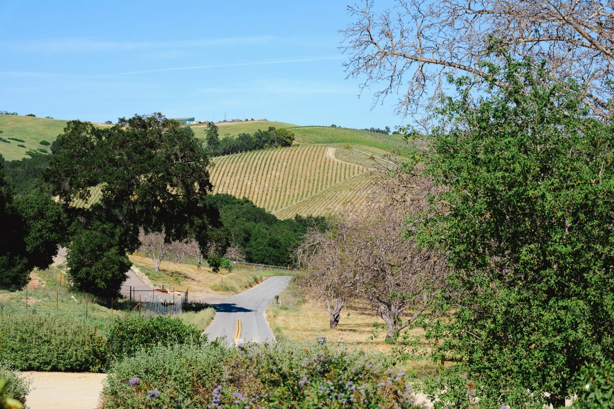 Photo from Our final tasting that day was at Law Estate, Paso Robles, CA