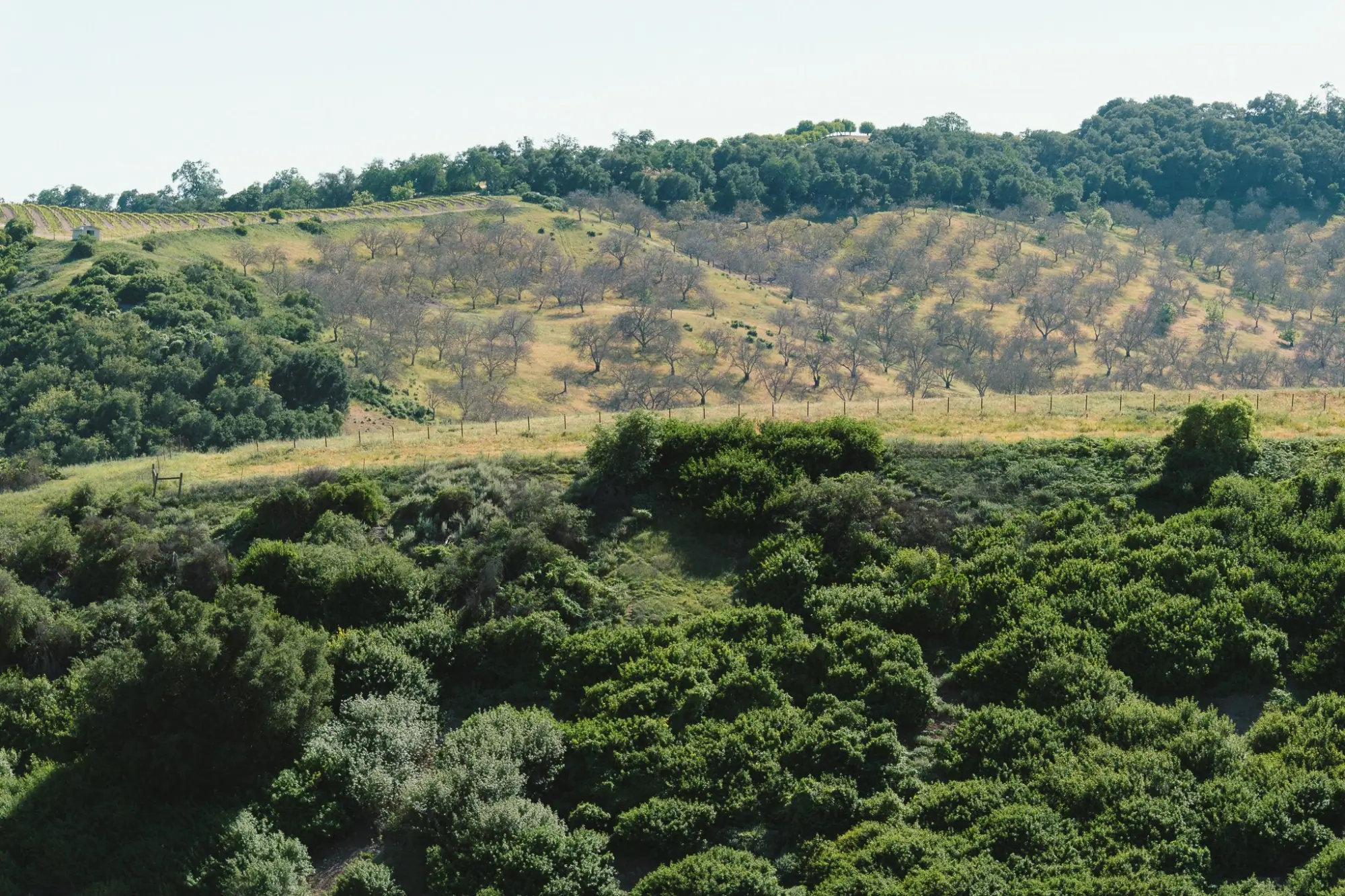 Photo from Our final tasting that day was at Law Estate, Paso Robles, CA