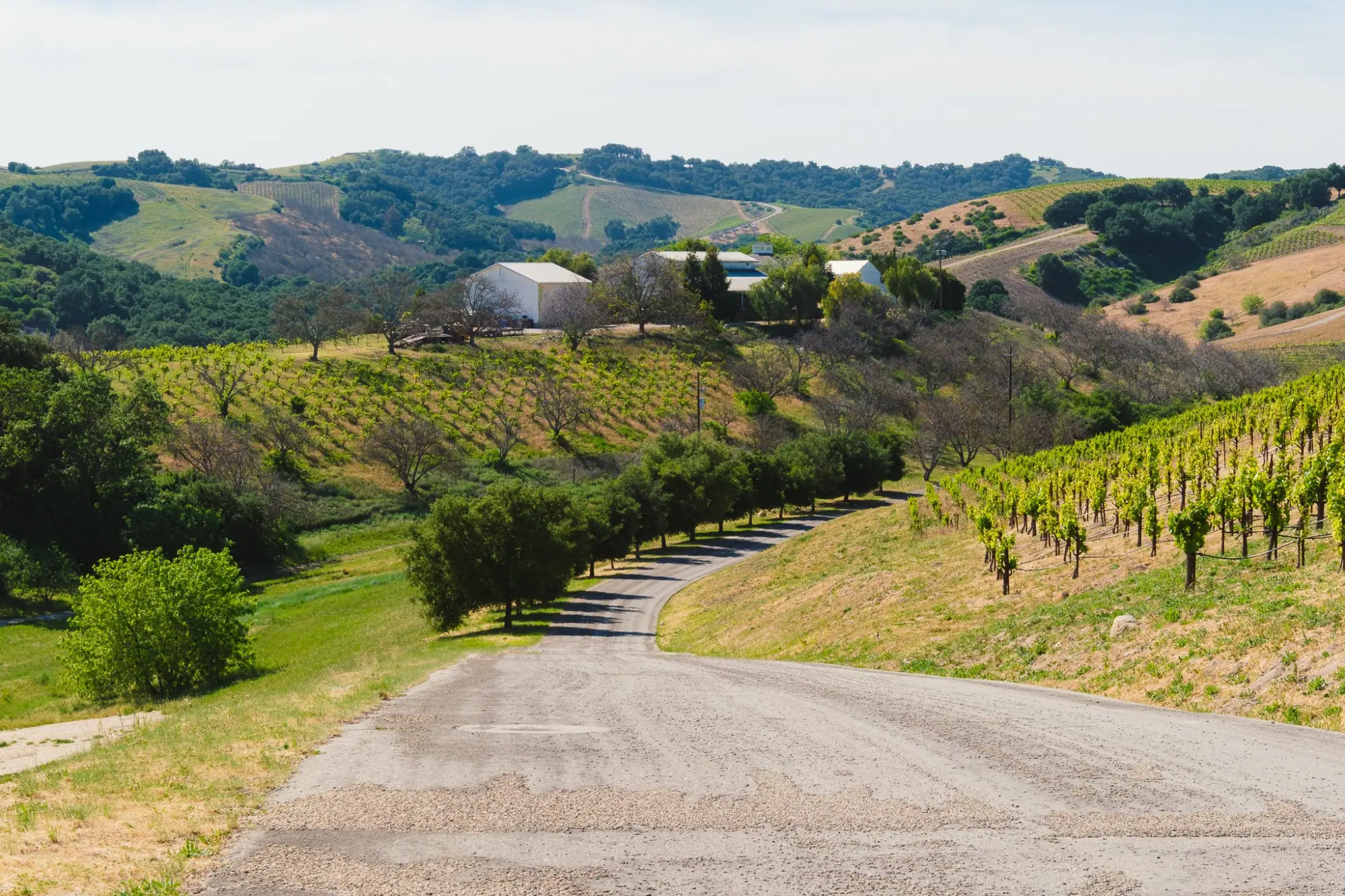 Photo from Our final tasting that day was at Law Estate, Paso Robles, CA