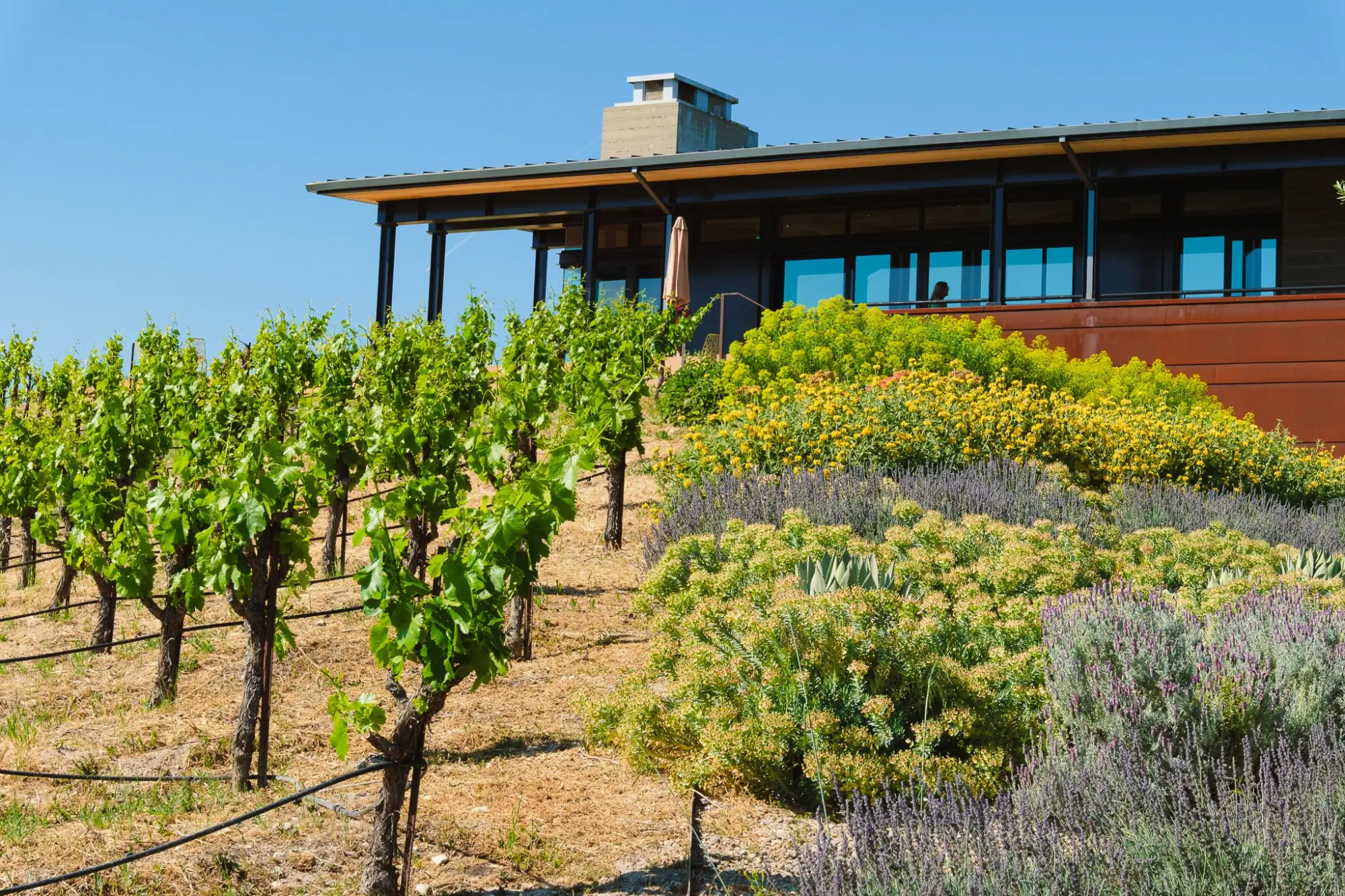 Photo from Our final tasting that day was at Law Estate, Paso Robles, CA
