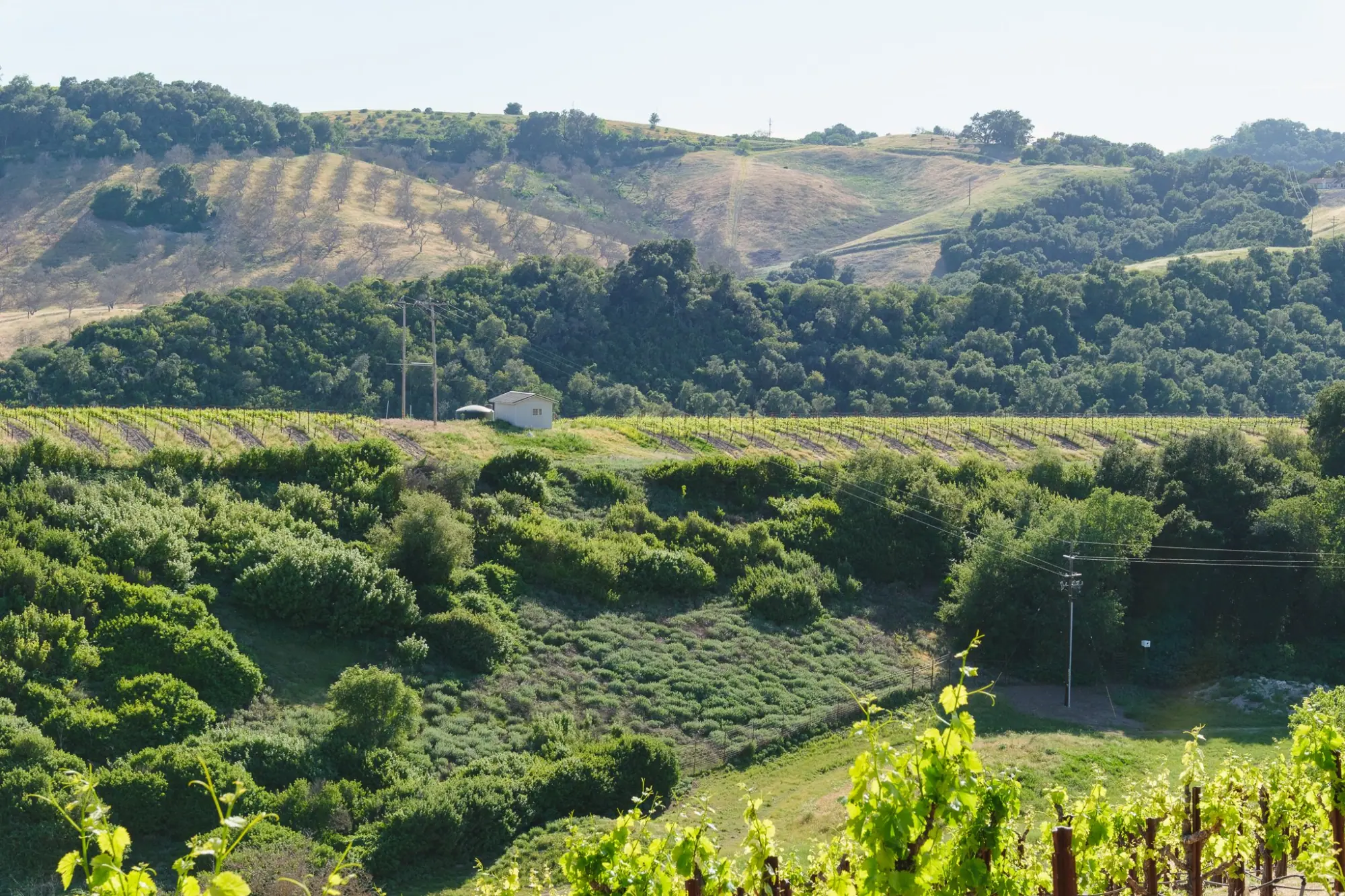 Photo from Our final tasting that day was at Law Estate, Paso Robles, CA