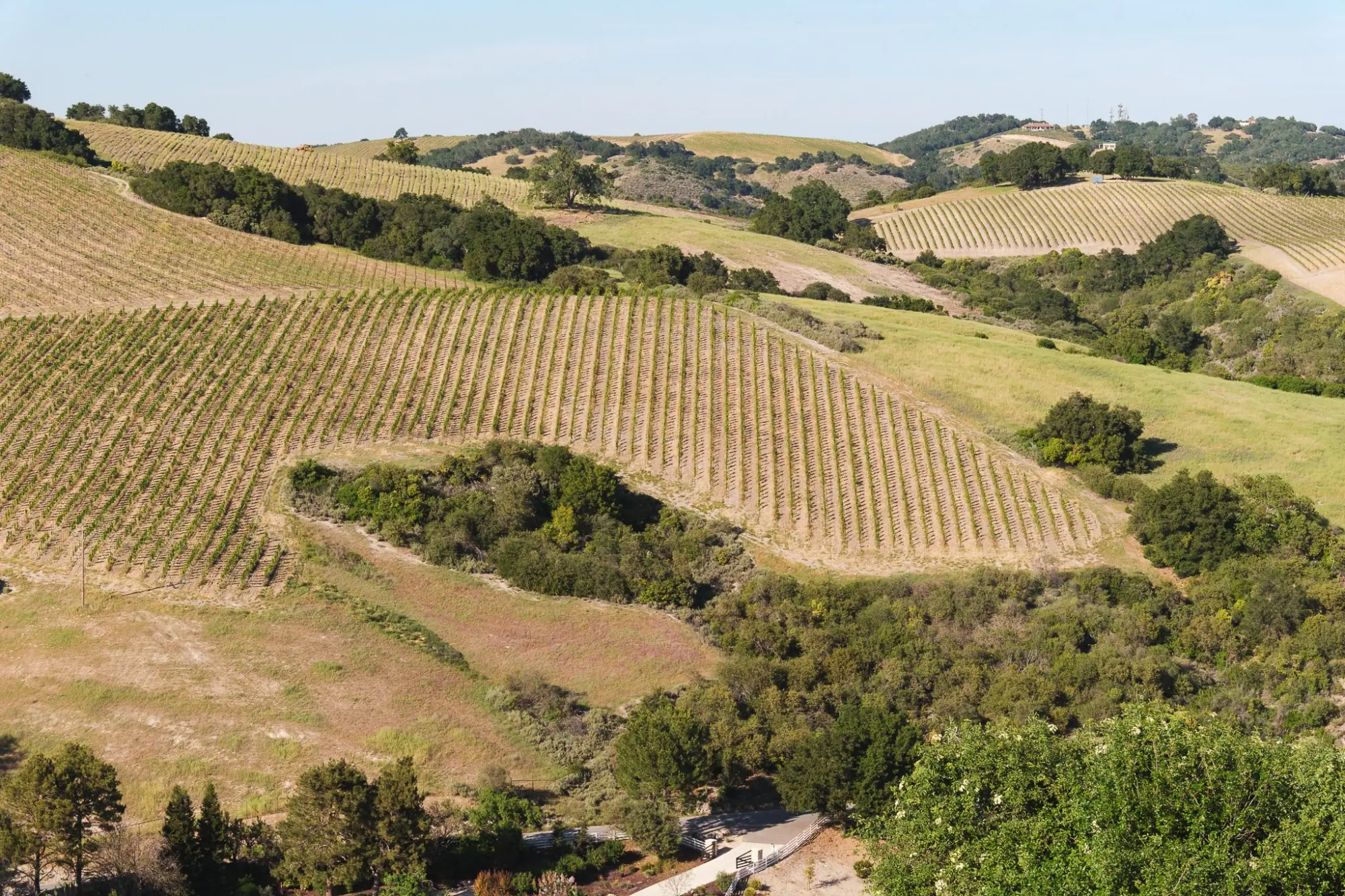 Photo from Our final tasting that day was at Law Estate, Paso Robles, CA
