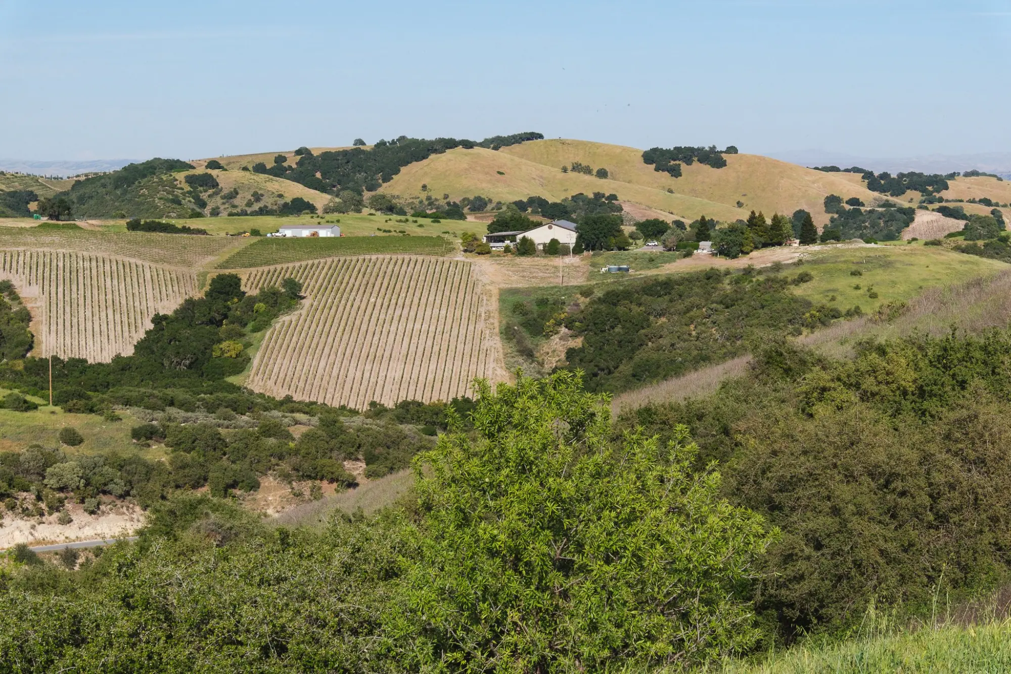 Photo from Our final tasting that day was at Law Estate, Paso Robles, CA