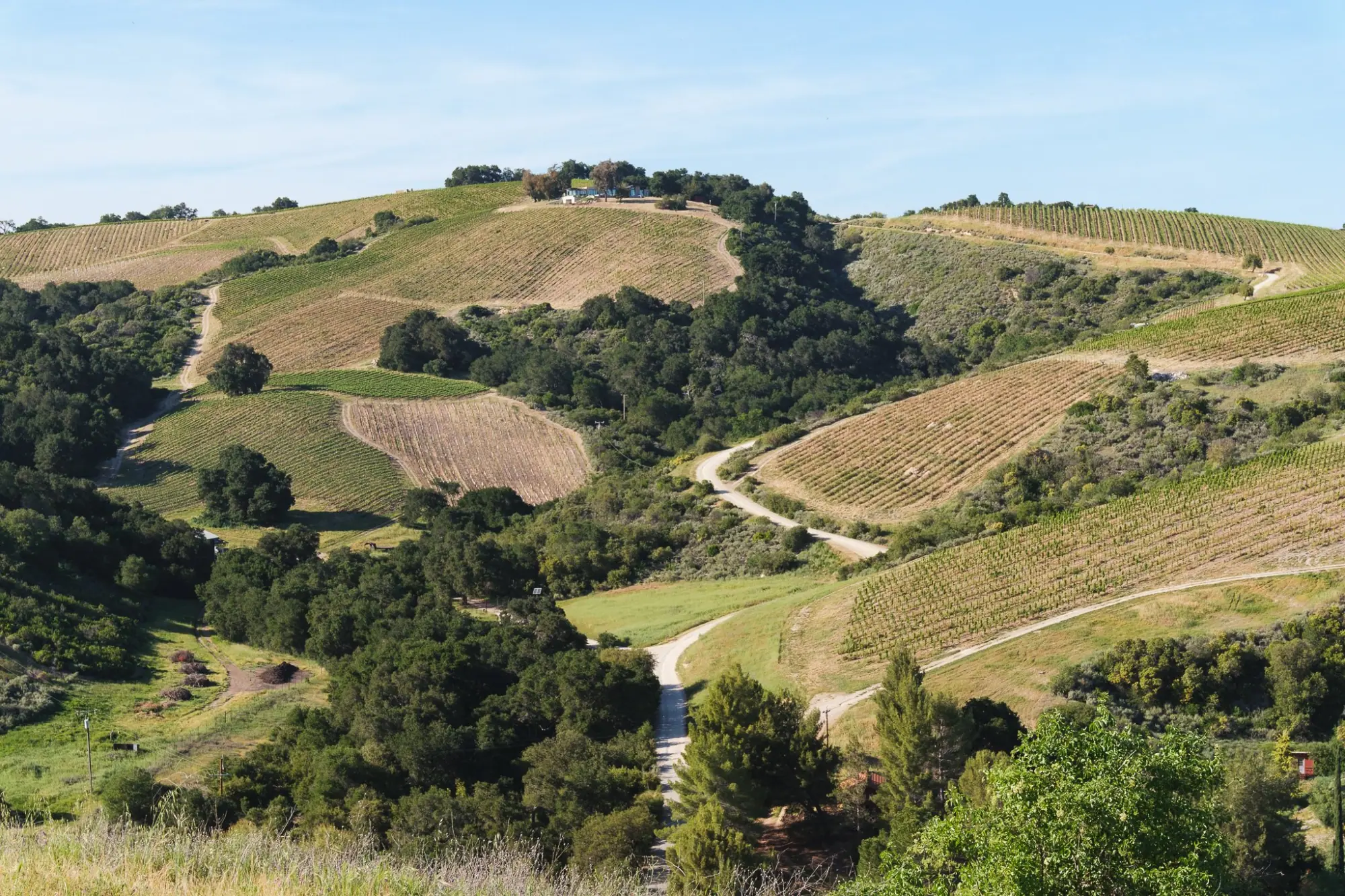 Photo from Our final tasting that day was at Law Estate, Paso Robles, CA