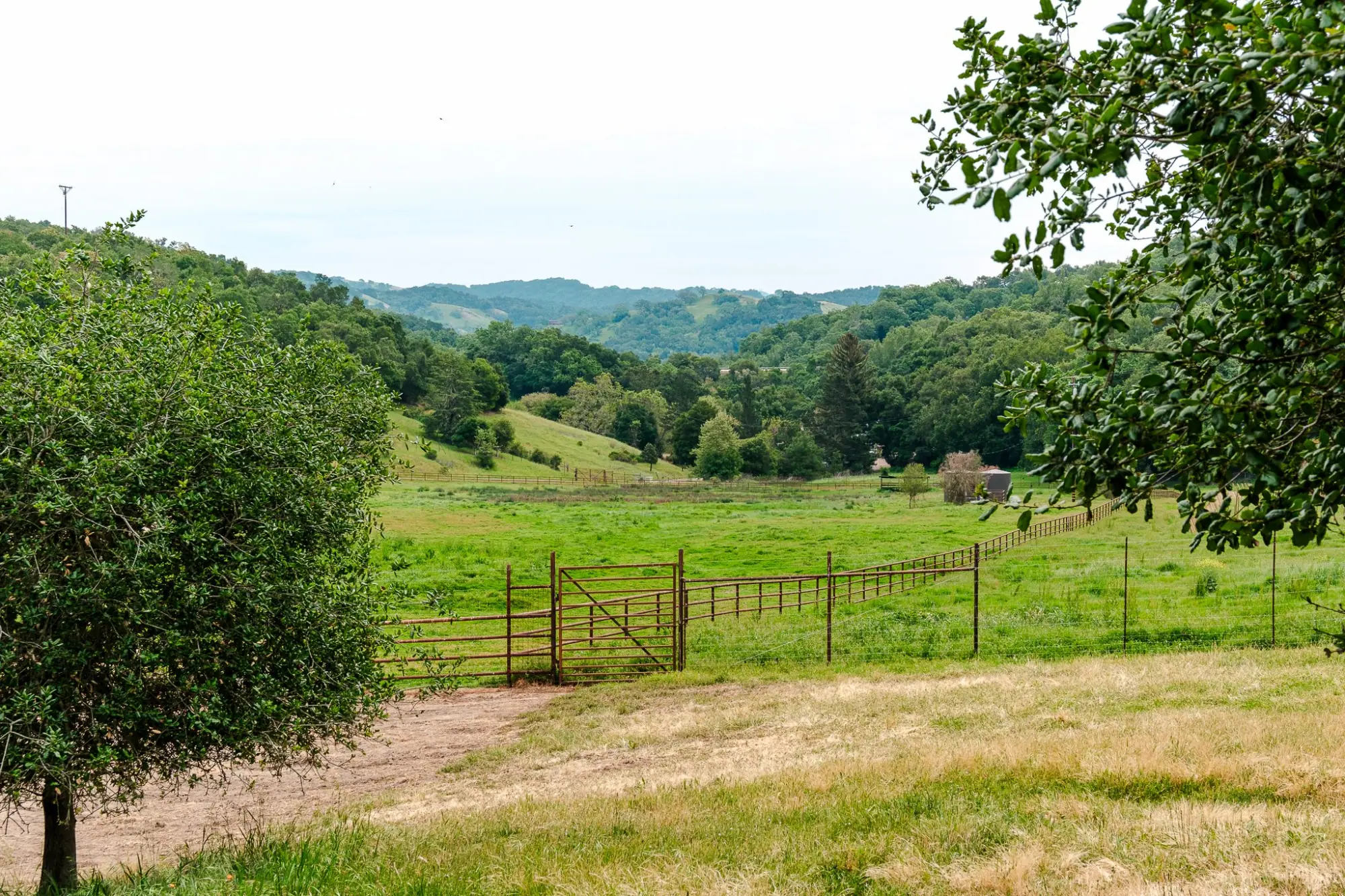 Photo from The next morning we had breakfast and headed out for another day of tastings, Paso Robles, CA