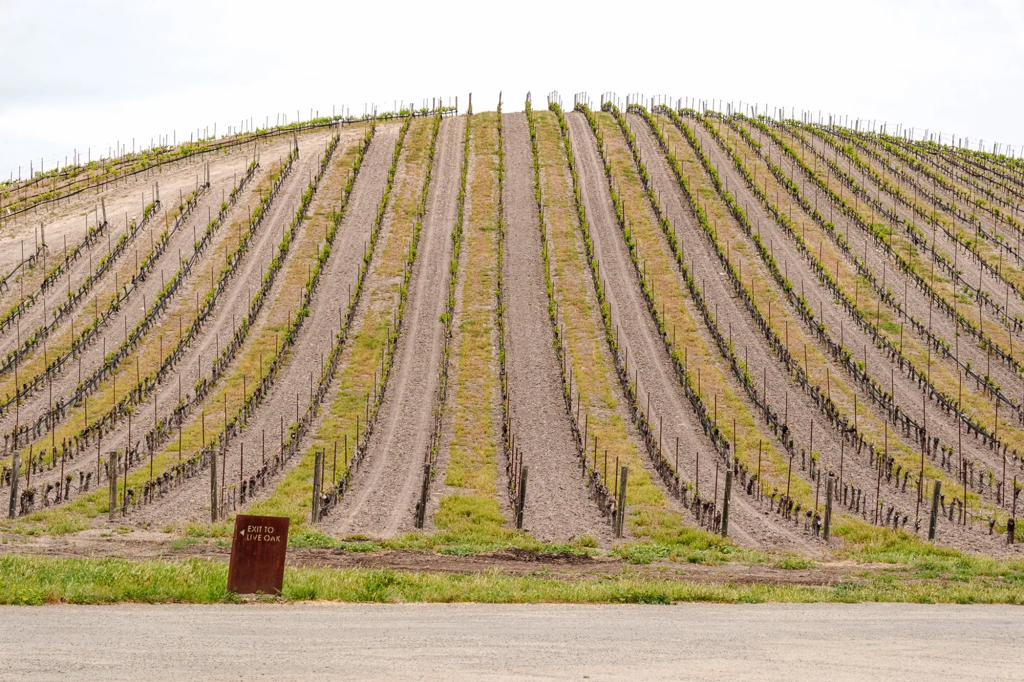 Photo from Our final tasting of the trip was at L’Aventure, one of the most recognized names in Paso Robles