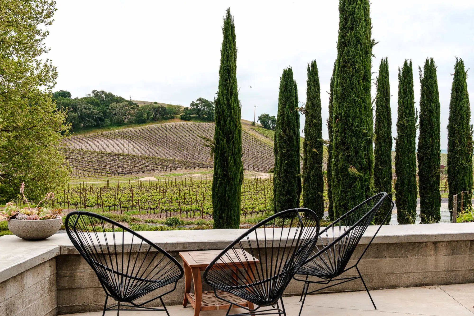 Photo from Our final tasting of the trip was at L’Aventure, one of the most recognized names in Paso Robles
