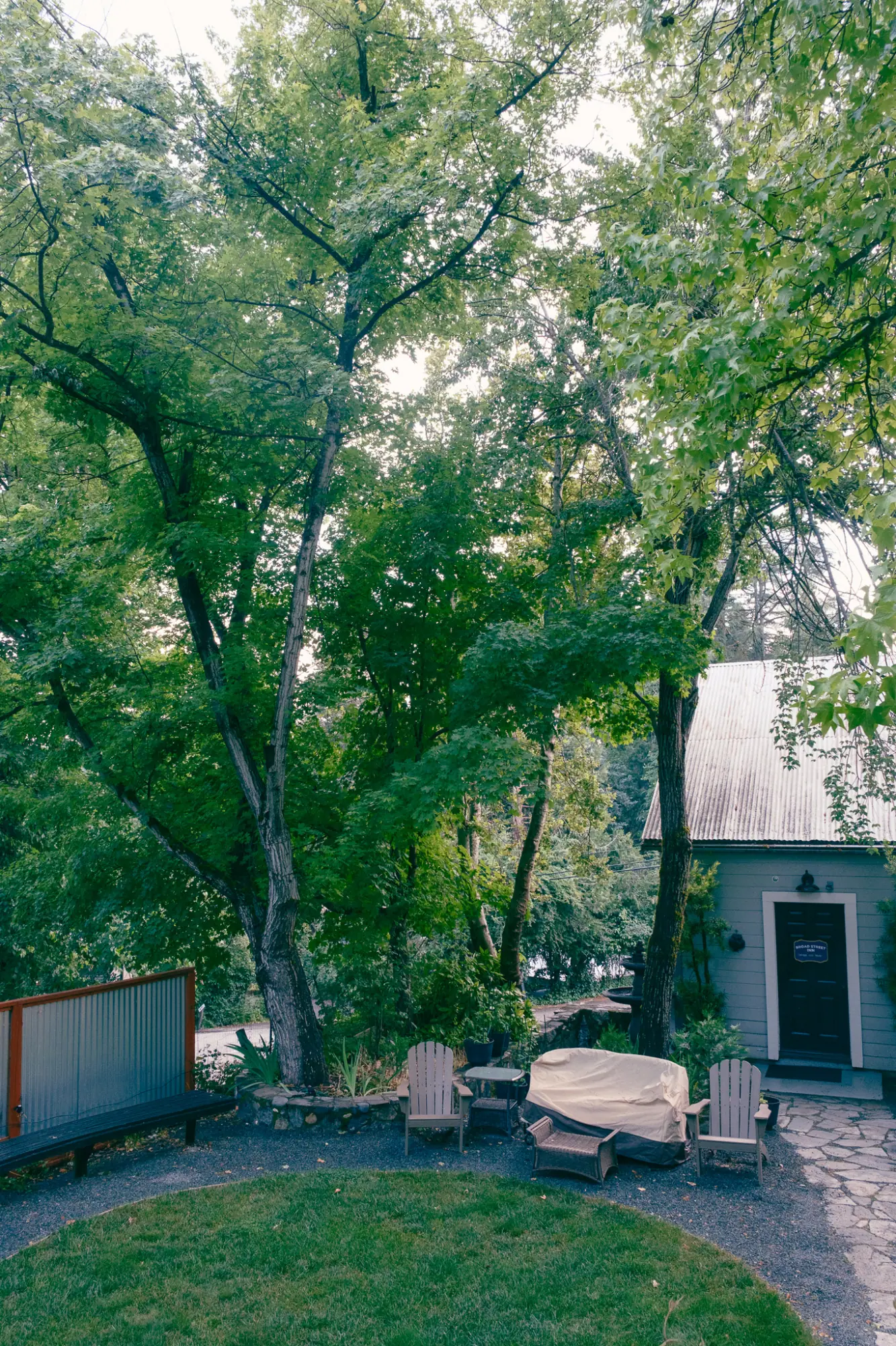 The inn's garden under tall trees