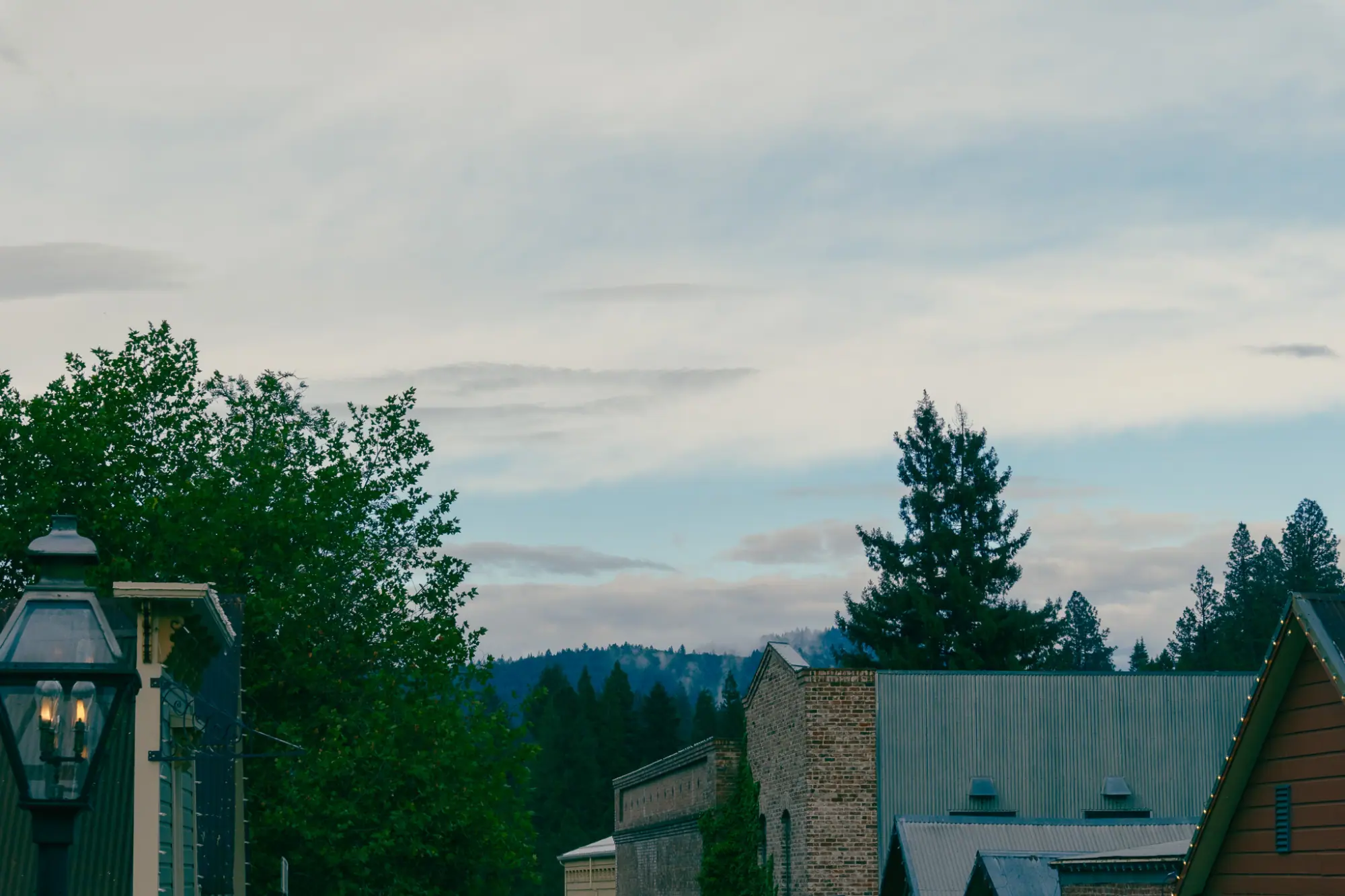 Rooftops and trees at the edge of downtown