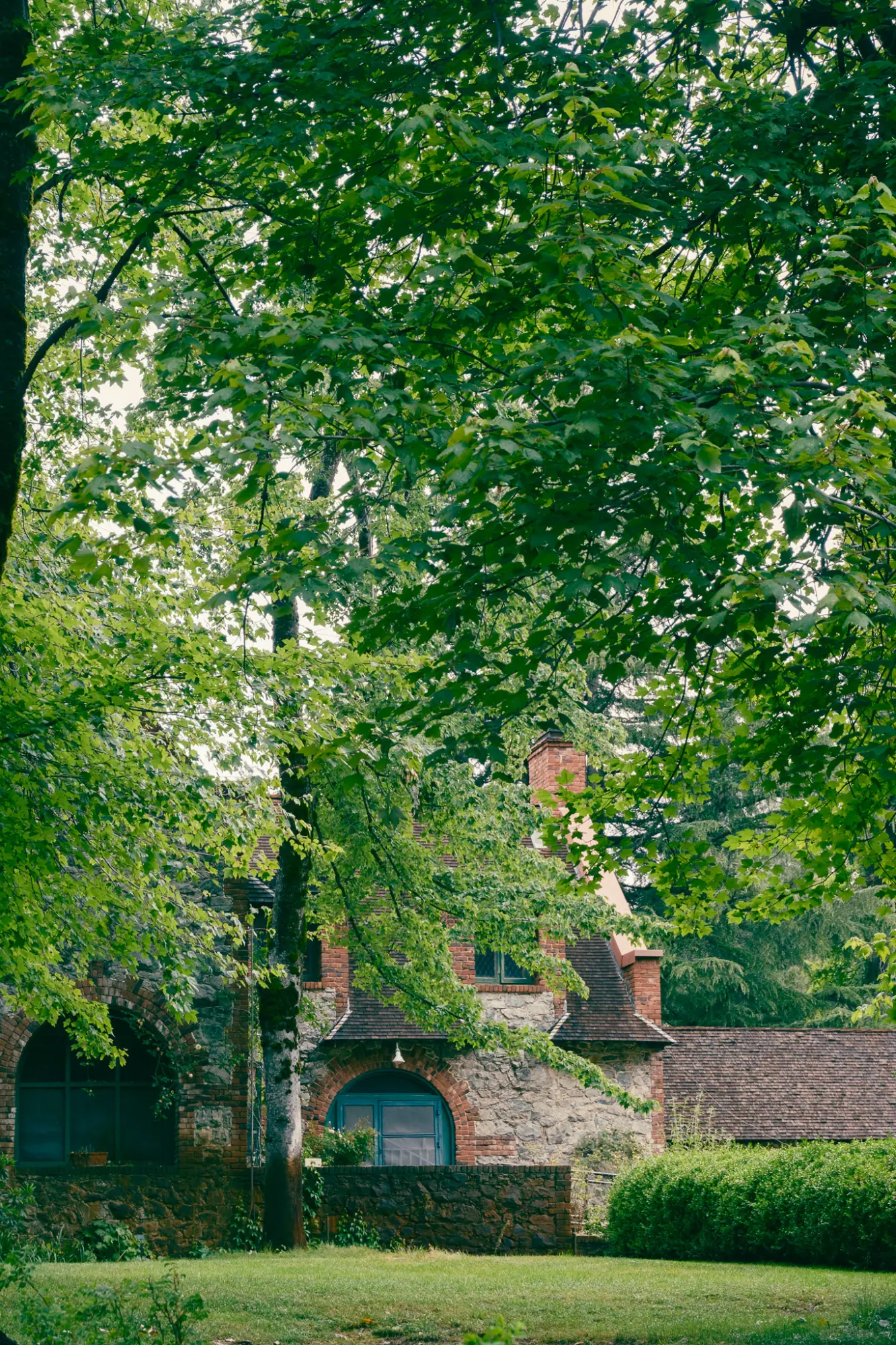 Bourn Cottage framed by tall trees