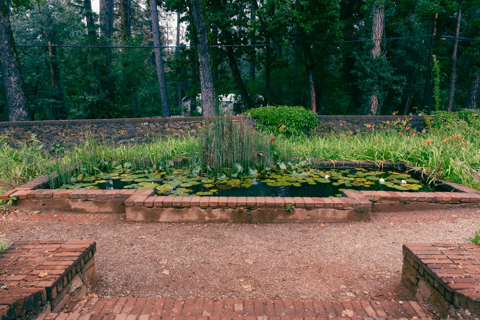 A brick-edged garden pond
