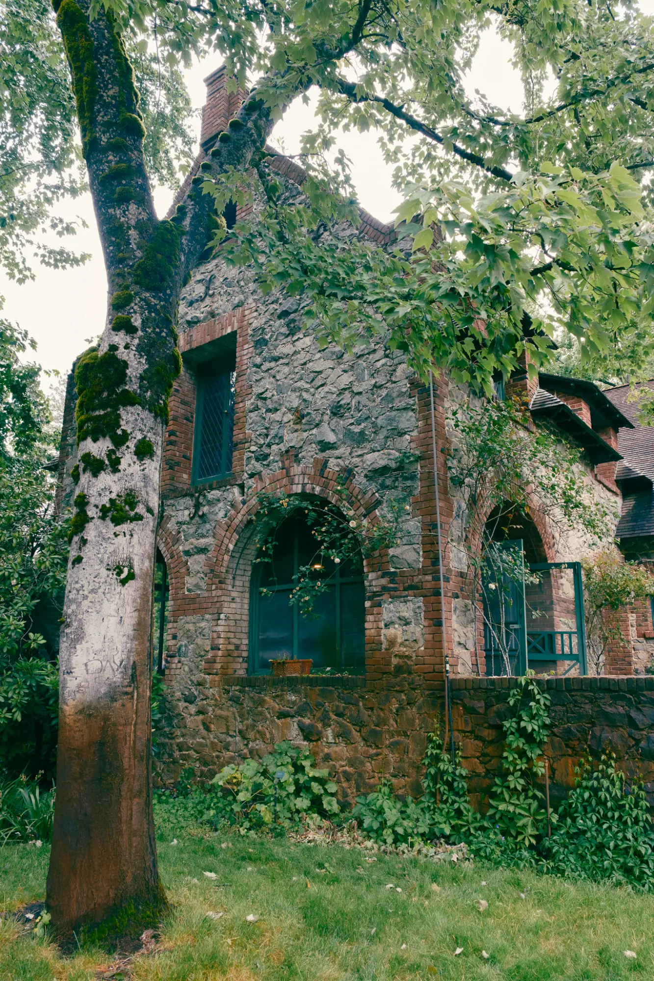 A stone building beside a large tree trunk