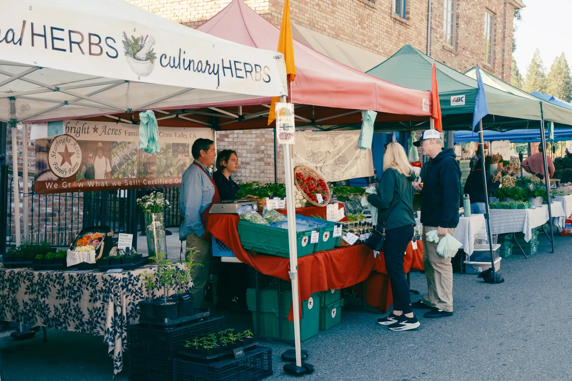 Herb and produce stalls at the market