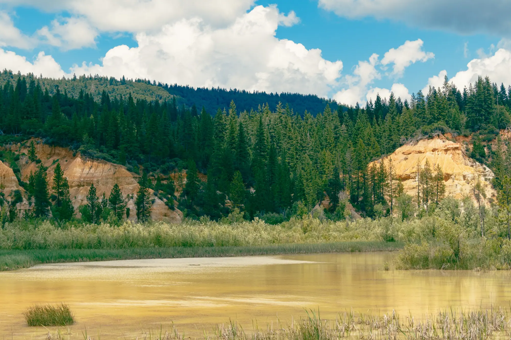 Cliffs reflected in the pit's pond