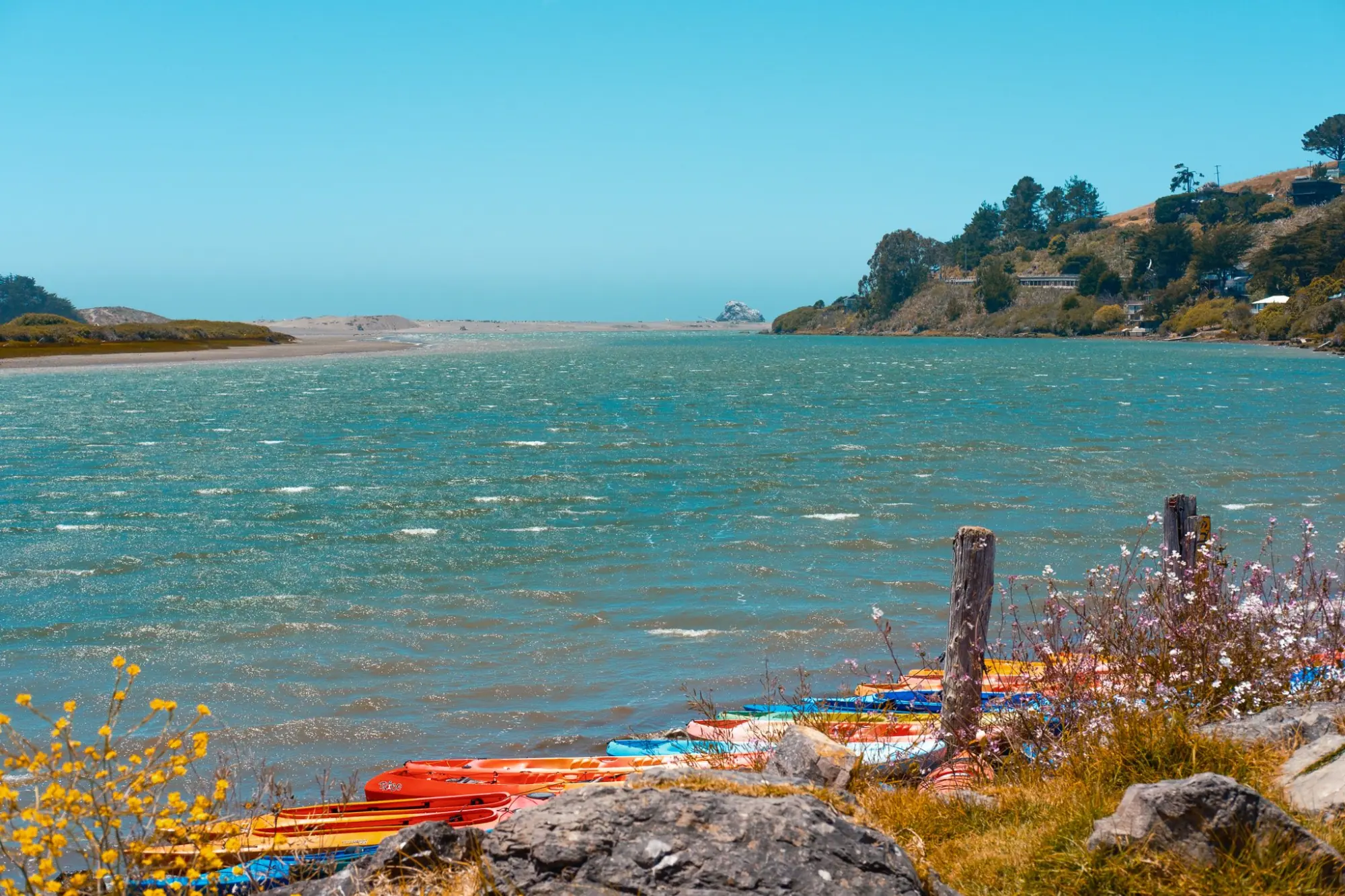 Photo from Day 1: SF to Mendocino – Coastal Views & Lighthouses