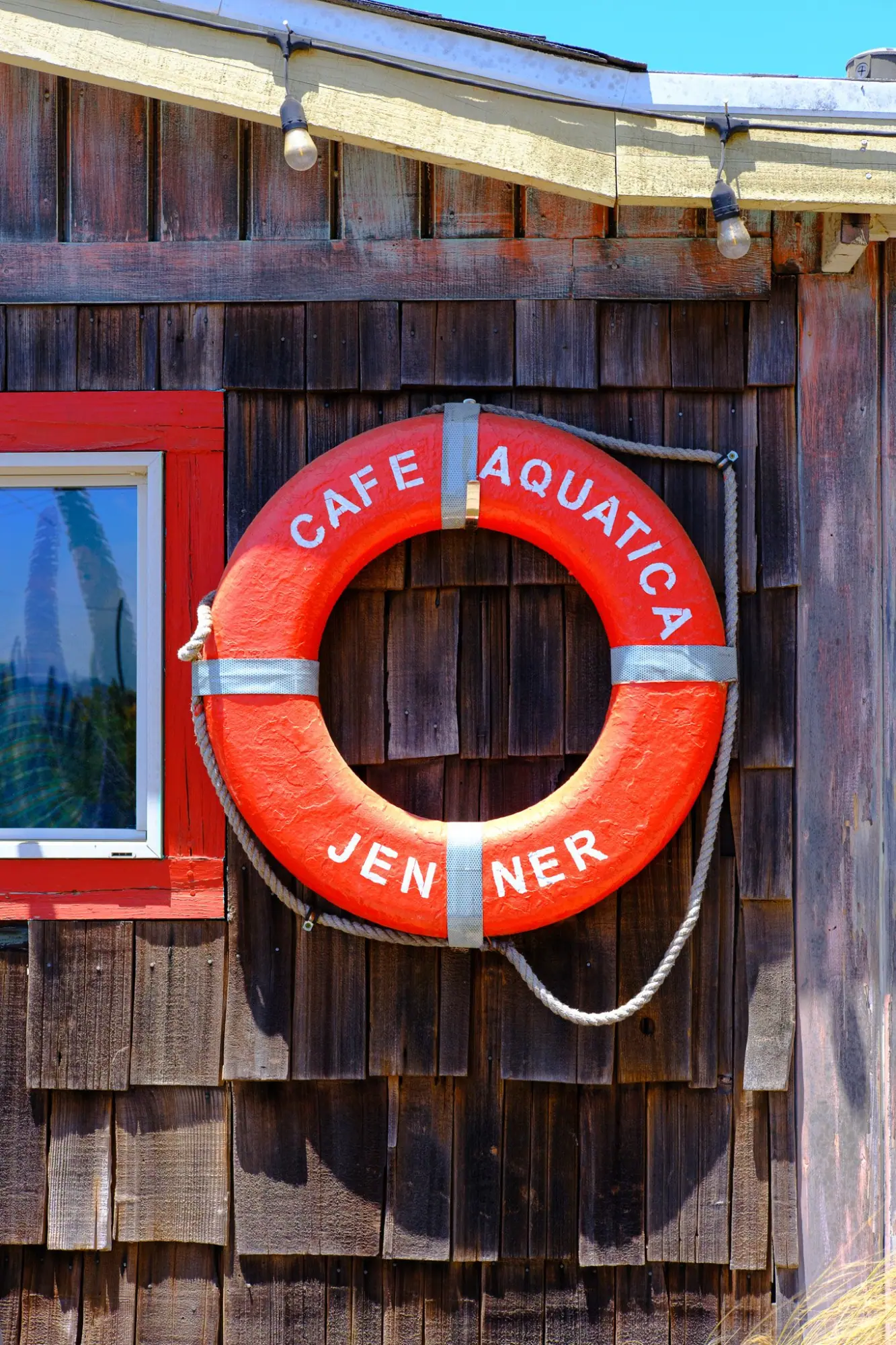 Photo from Day 1: SF to Mendocino – Coastal Views & Lighthouses