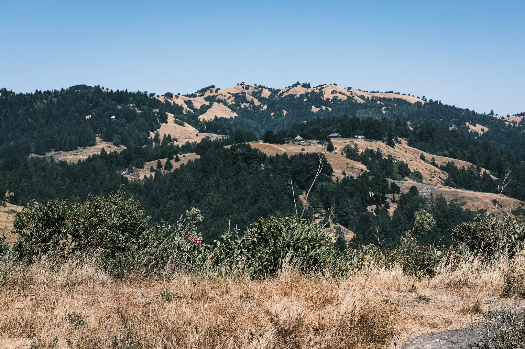 Photo from Day 1: SF to Mendocino – Coastal Views & Lighthouses
