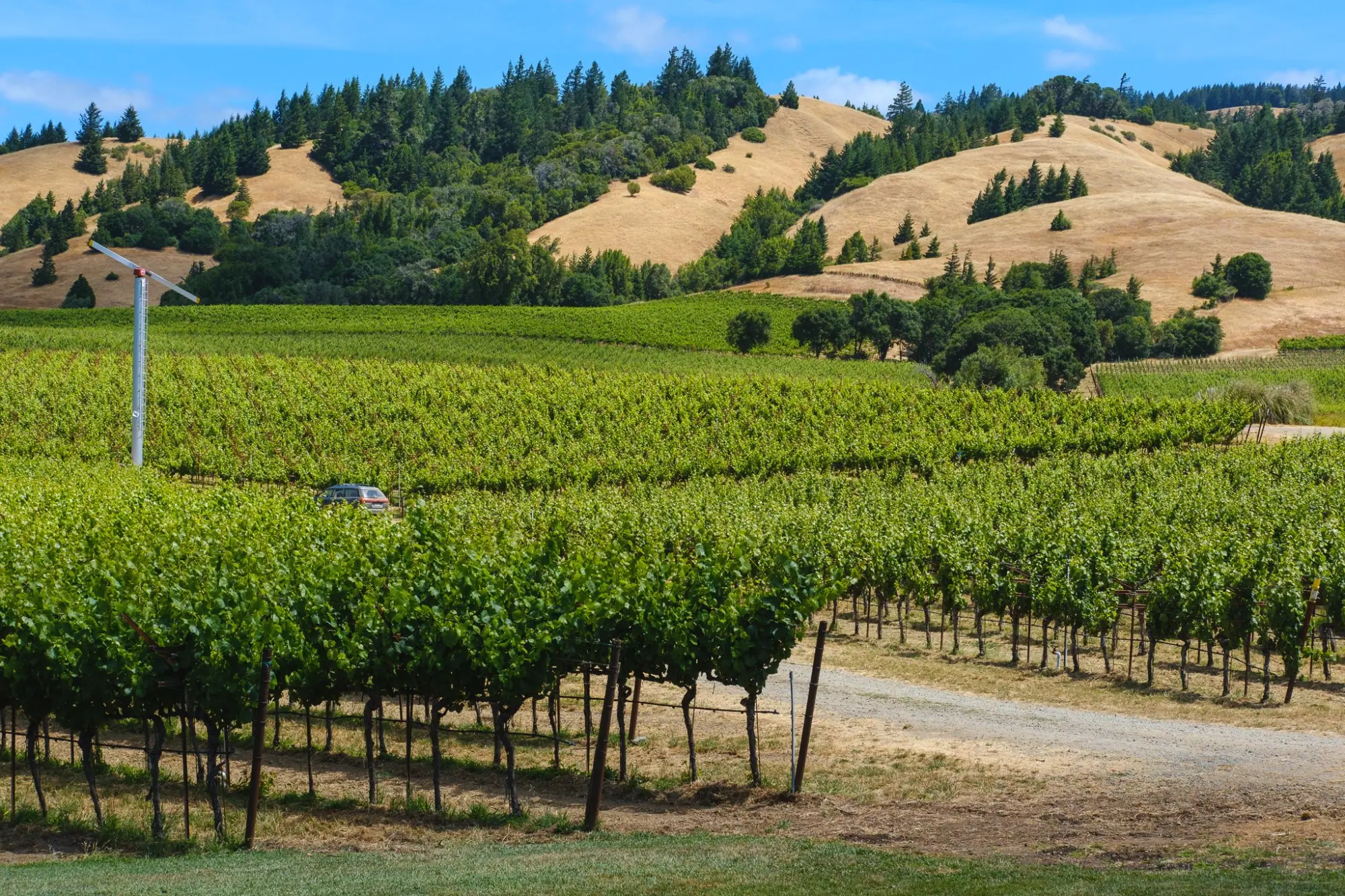 Photo from Our first stop: Navarro Vineyards, where we sampled wines and snacked on a cheese and charcuterie board…, Mendocino, CA