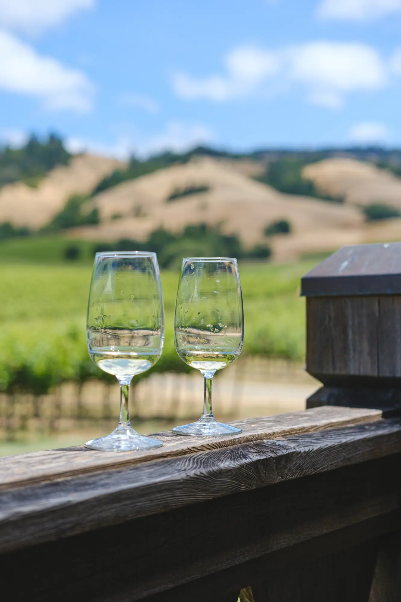 Photo from Our first stop: Navarro Vineyards, where we sampled wines and snacked on a cheese and charcuterie board…, Mendocino, CA