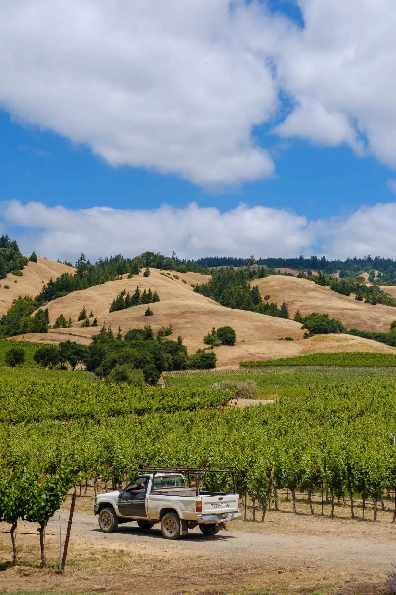 Photo from Our first stop: Navarro Vineyards, where we sampled wines and snacked on a cheese and charcuterie board…, Mendocino, CA