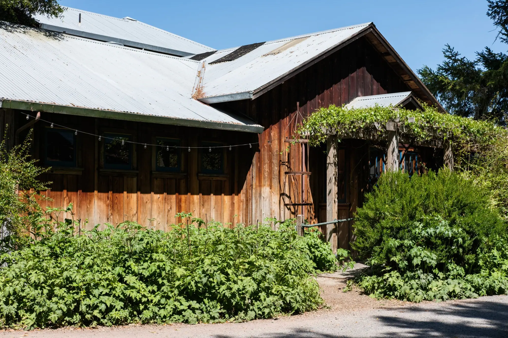 Photo from Lunch was casual but satisfying at Jumbo’s Win-Win in Philo, followed by a visit to The Apple Farm, a…, Mendocino, CA