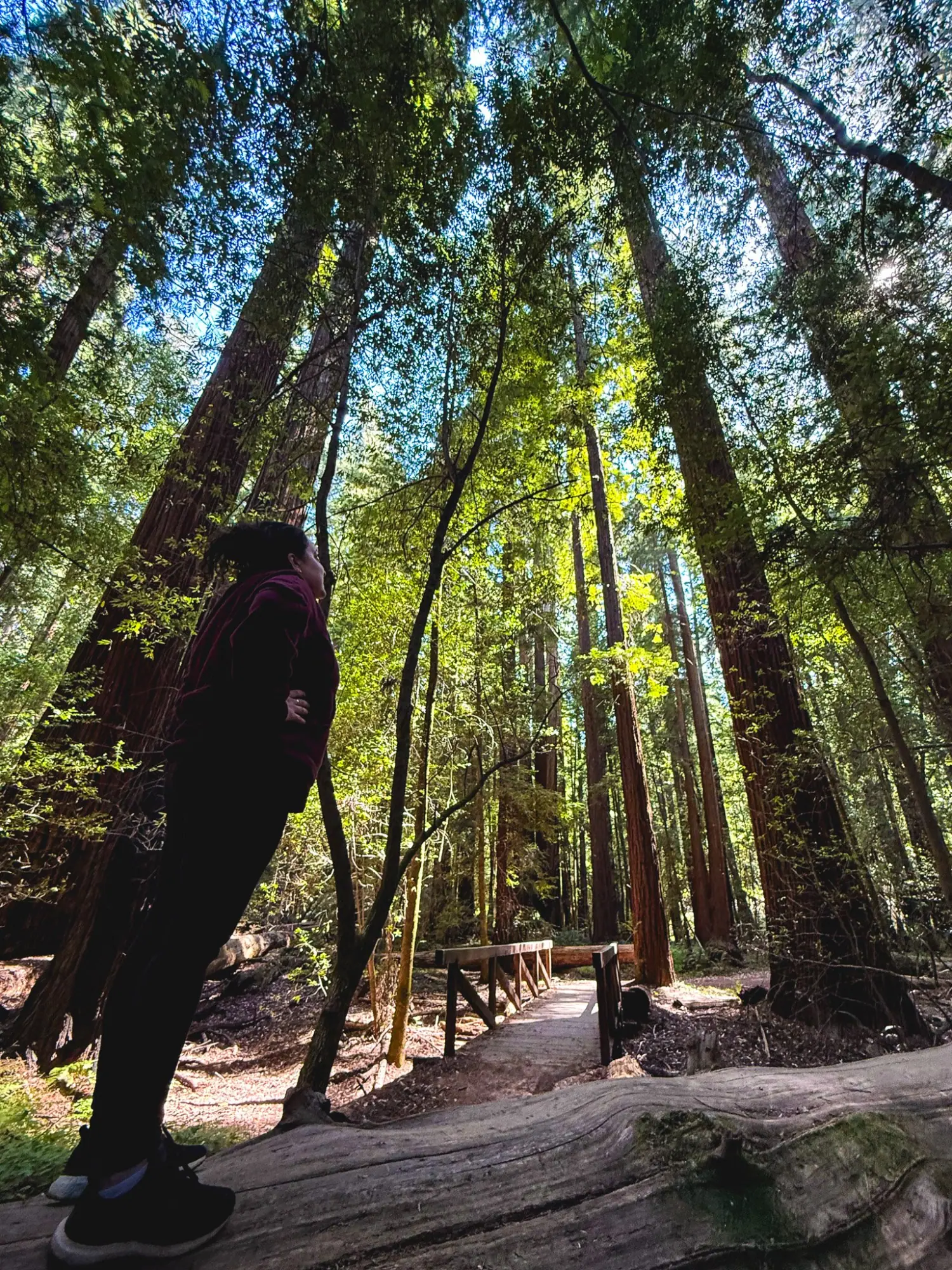 Photo from We rounded out the day with a peaceful hike through Big Hendy Grove at Hendy Woods State Park, a…, Mendocino, CA