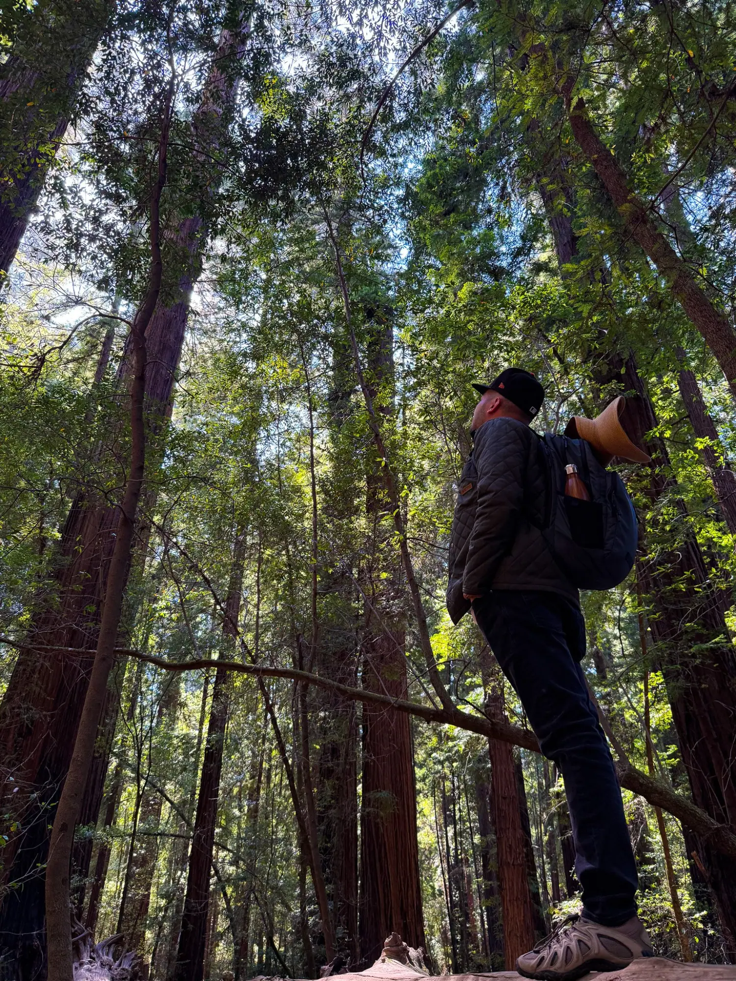 Photo from We rounded out the day with a peaceful hike through Big Hendy Grove at Hendy Woods State Park, a…, Mendocino, CA
