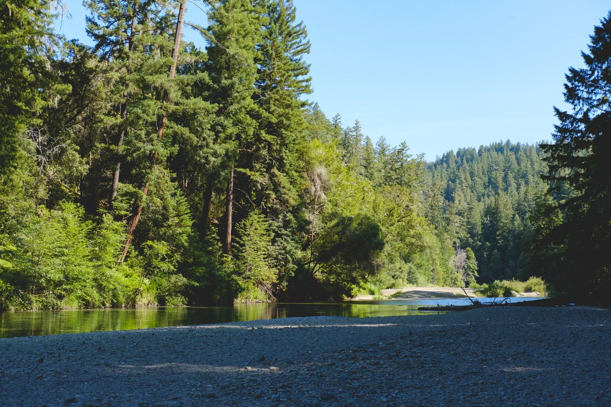 Photo from We rounded out the day with a peaceful hike through Big Hendy Grove at Hendy Woods State Park, a…, Mendocino, CA