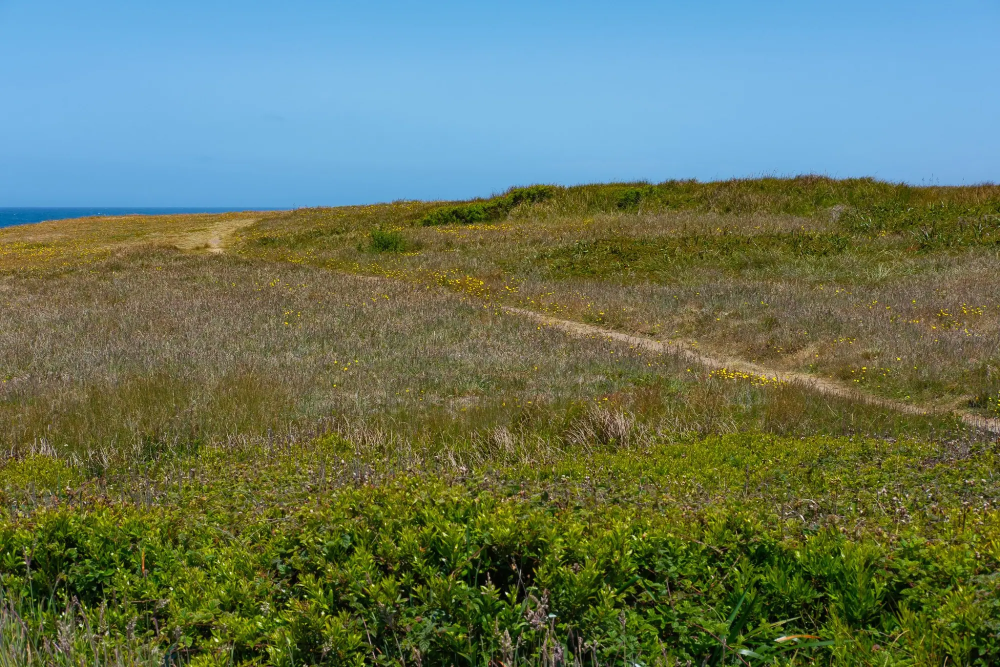 Photo from Day 4: Fort Bragg & the Journey Home, Mendocino, CA