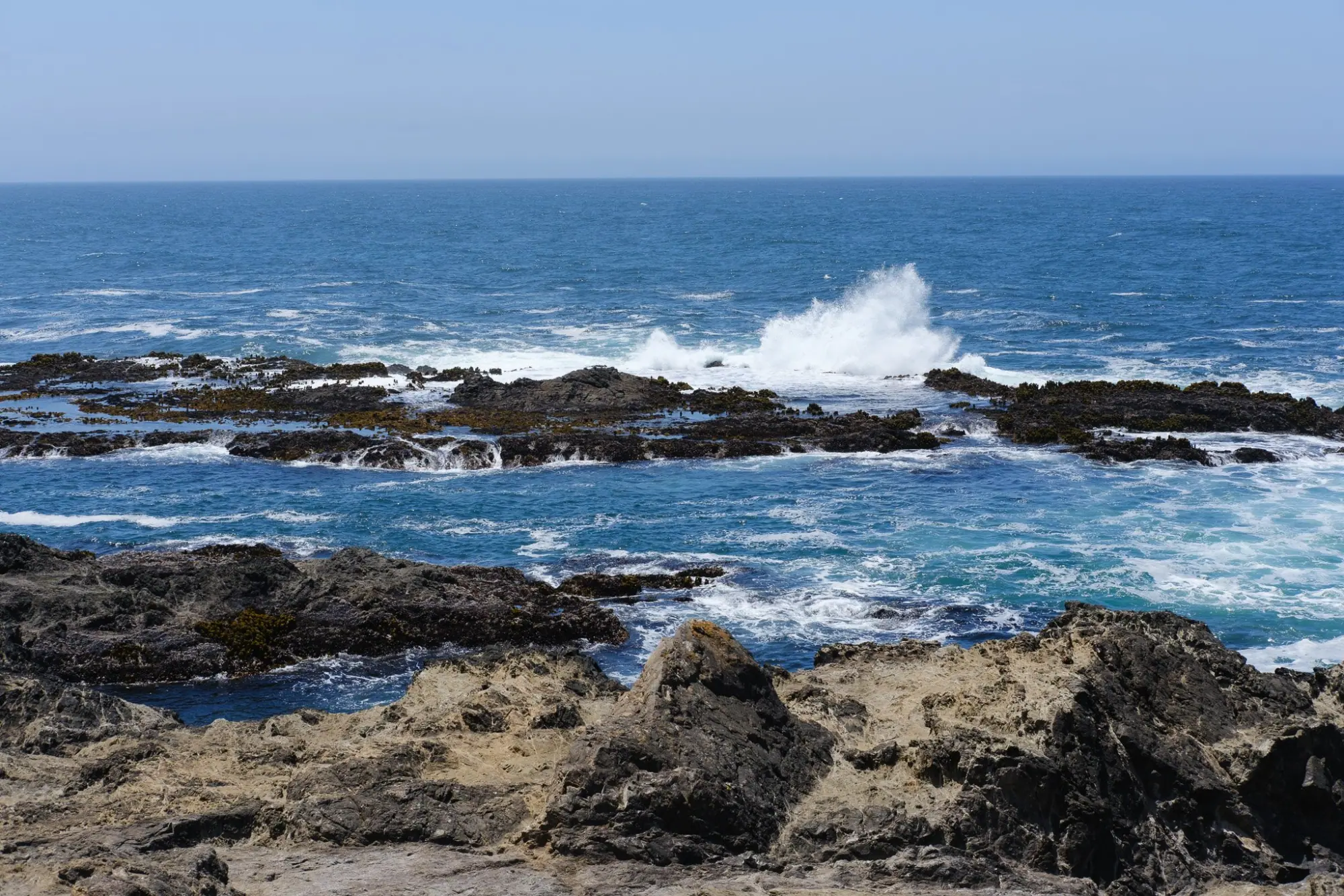 Photo from Day 4: Fort Bragg & the Journey Home, Mendocino, CA