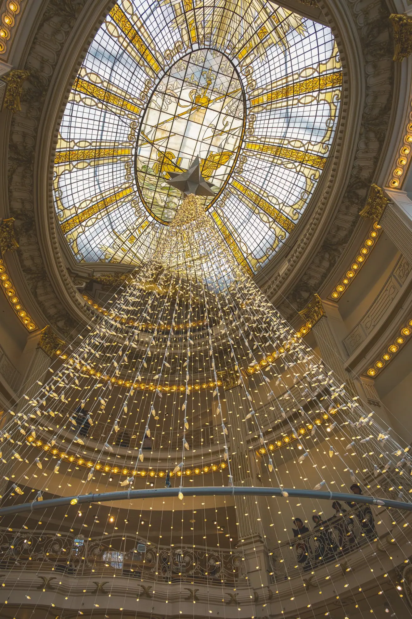 Photo from Holiday Splendor in Downtown San Francisco, San Francisco & Sebastopol, CA