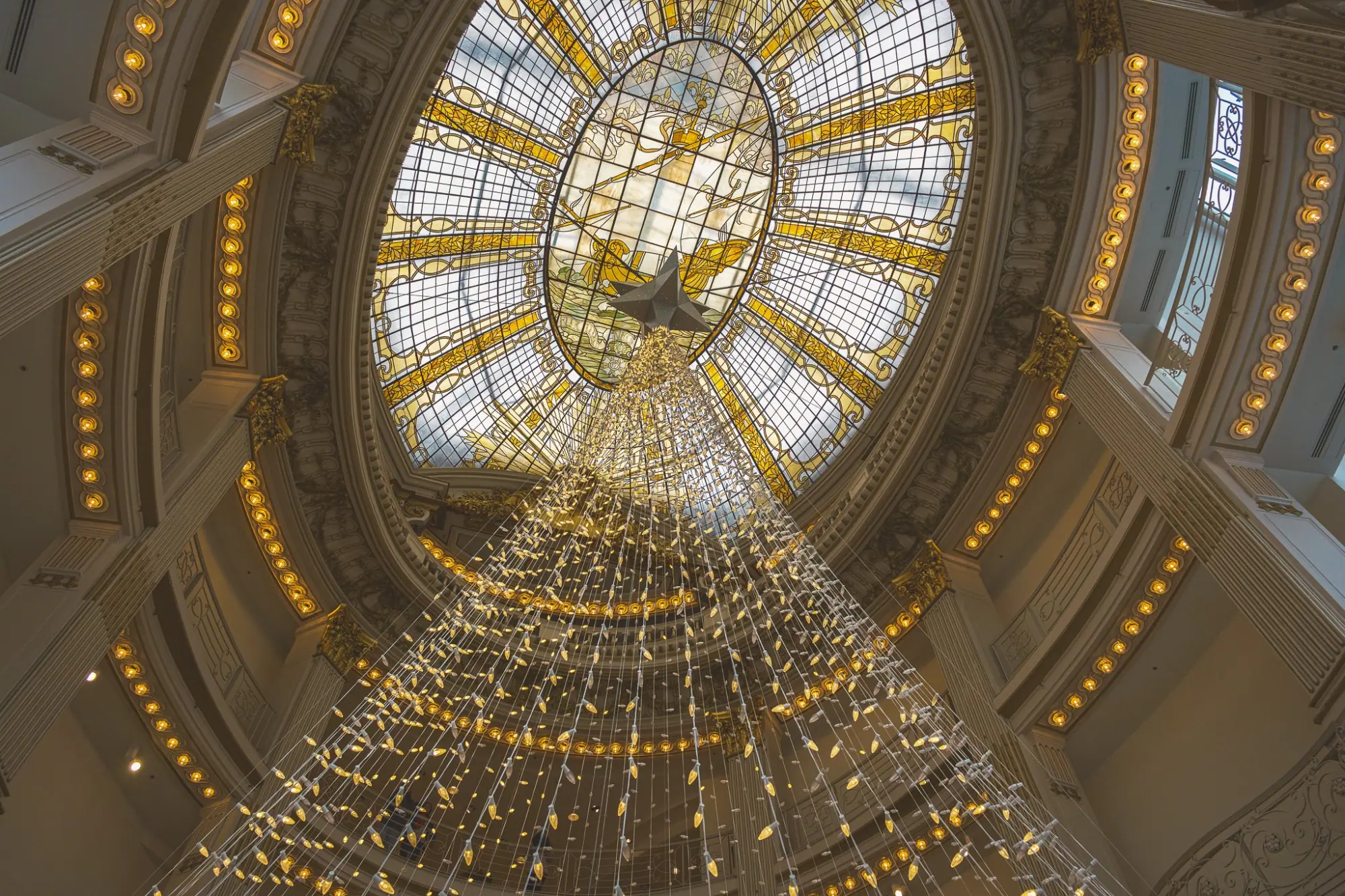 Photo from Holiday Splendor in Downtown San Francisco, San Francisco & Sebastopol, CA