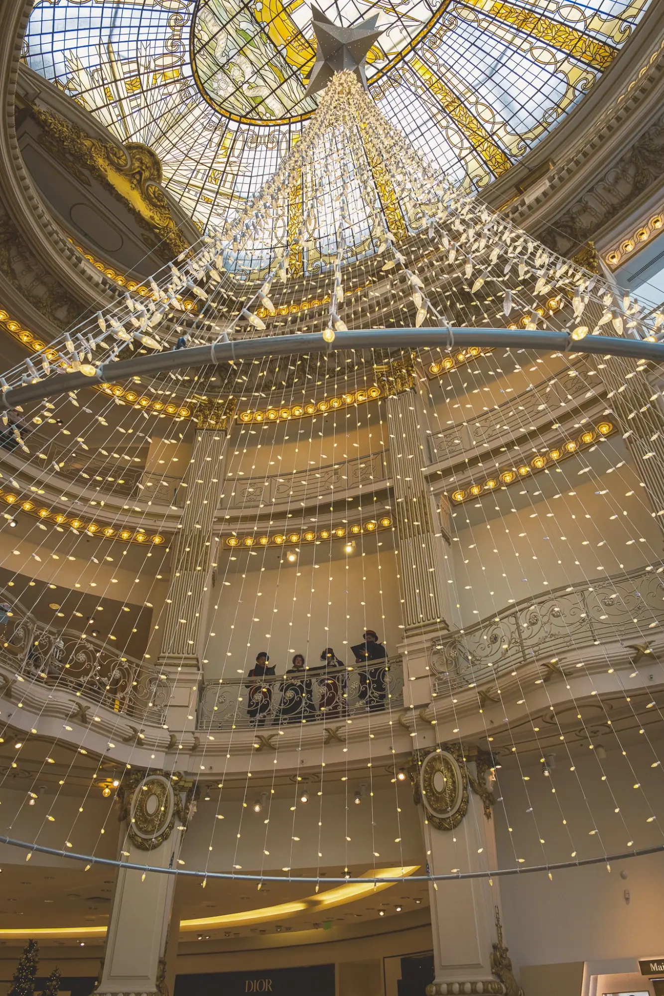 Photo from Holiday Splendor in Downtown San Francisco, San Francisco & Sebastopol, CA