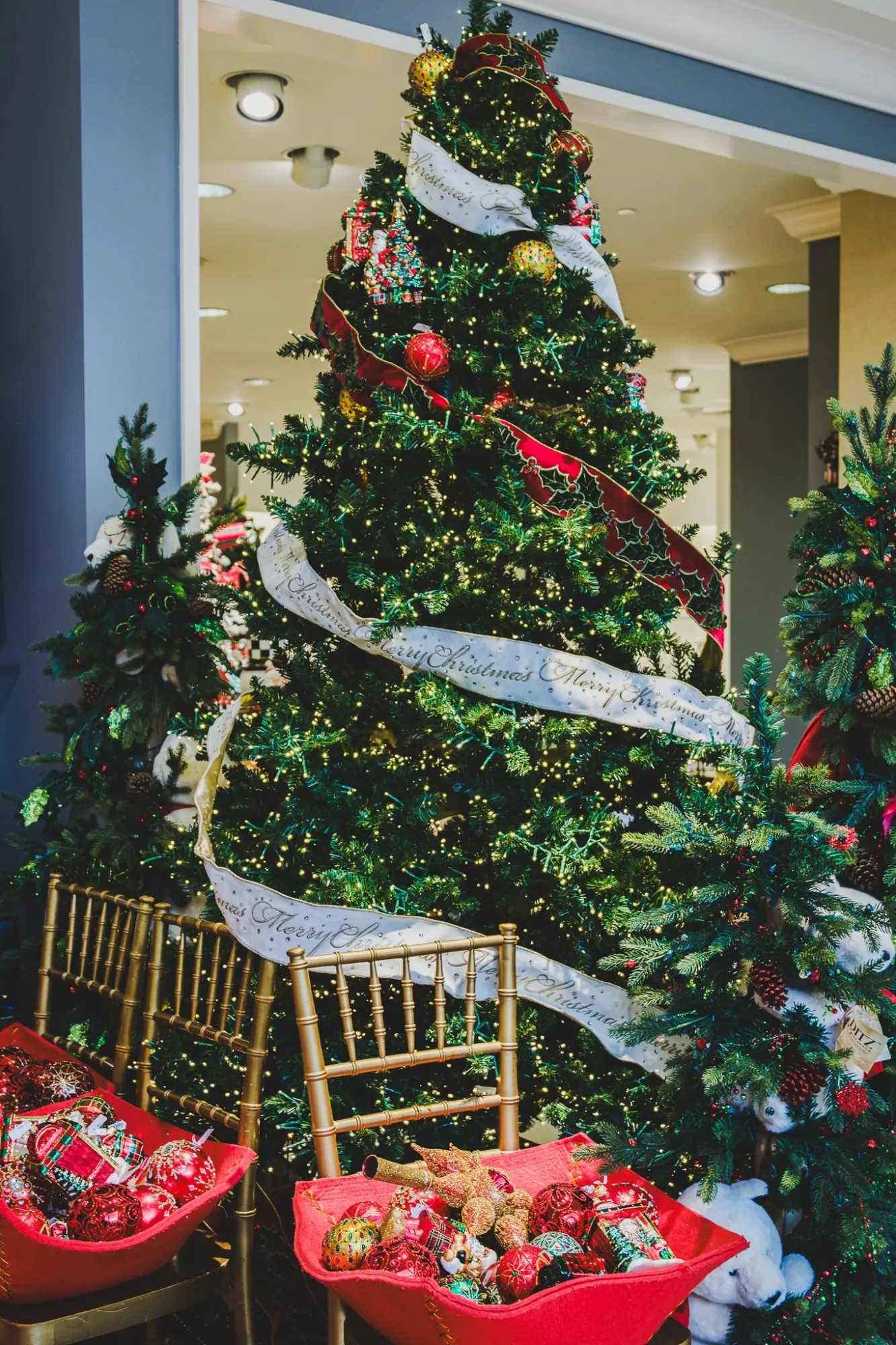 Photo from Holiday Splendor in Downtown San Francisco, San Francisco & Sebastopol, CA