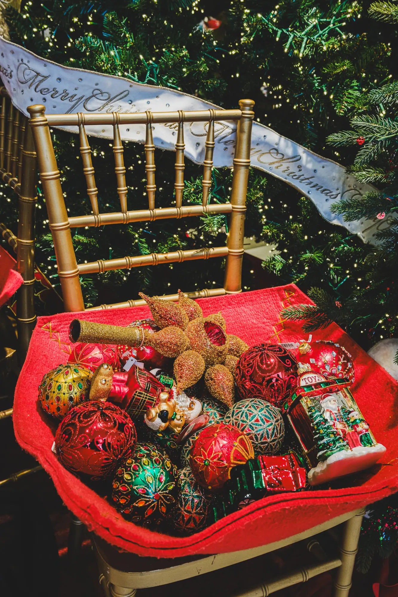 Photo from Holiday Splendor in Downtown San Francisco, San Francisco & Sebastopol, CA