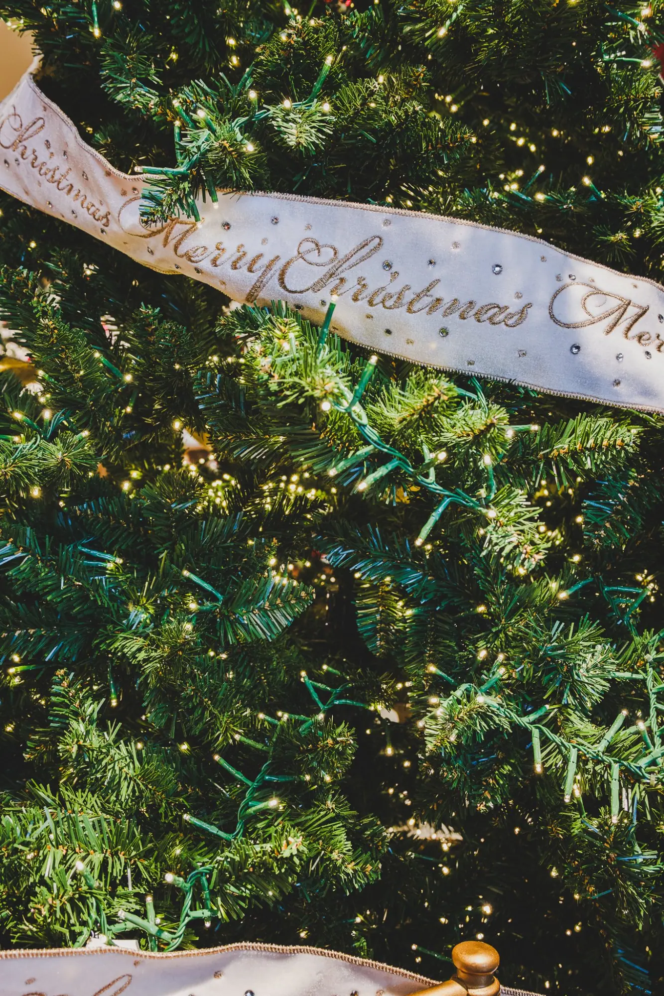 Photo from Holiday Splendor in Downtown San Francisco, San Francisco & Sebastopol, CA