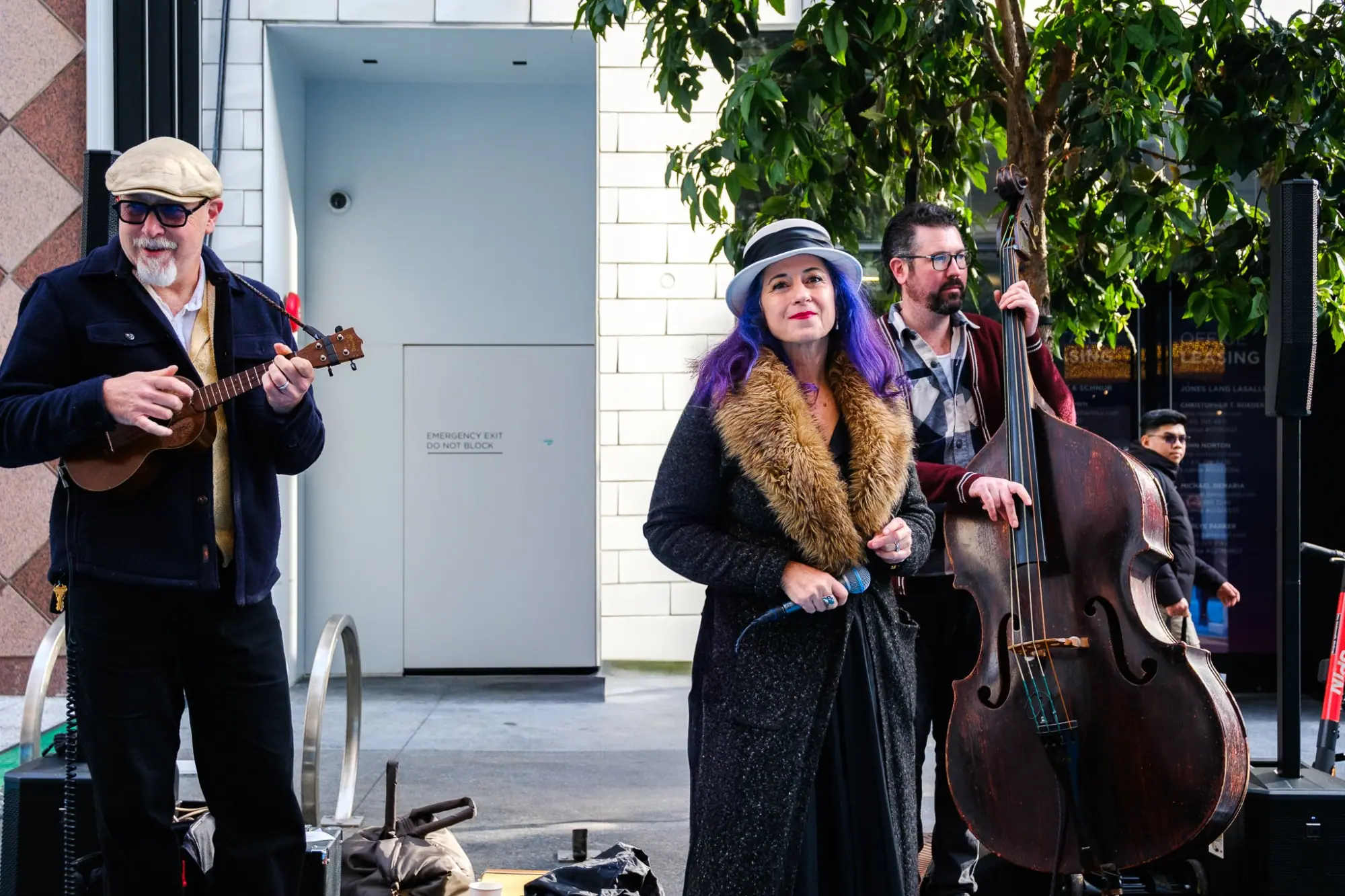 Photo from Exploring Winter Walk and Union Square, San Francisco & Sebastopol, CA