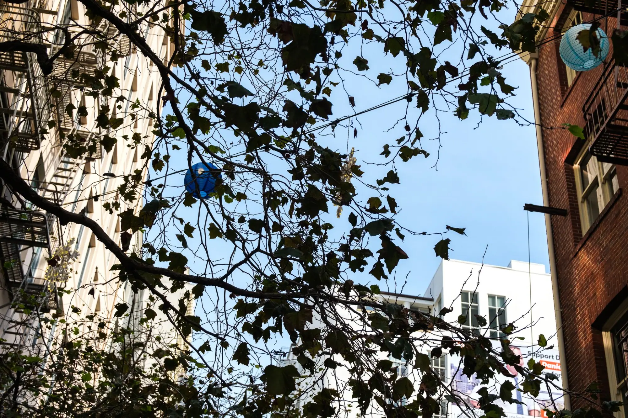 Photo from From there, we wandered Maiden Lane, decked out in festive decor, and stepped into Gump’s to admire their…, San Francisco & Sebastopol, CA