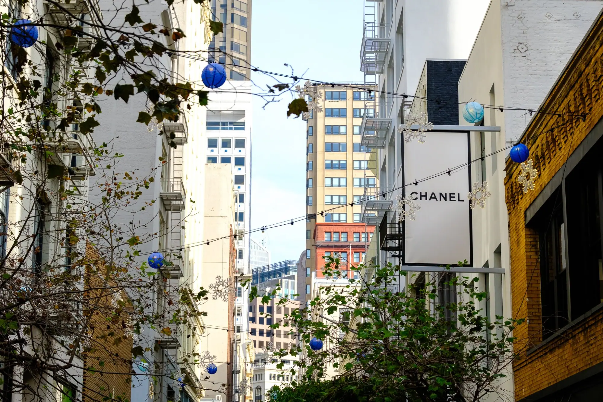 Photo from From there, we wandered Maiden Lane, decked out in festive decor, and stepped into Gump’s to admire their…, San Francisco & Sebastopol, CA