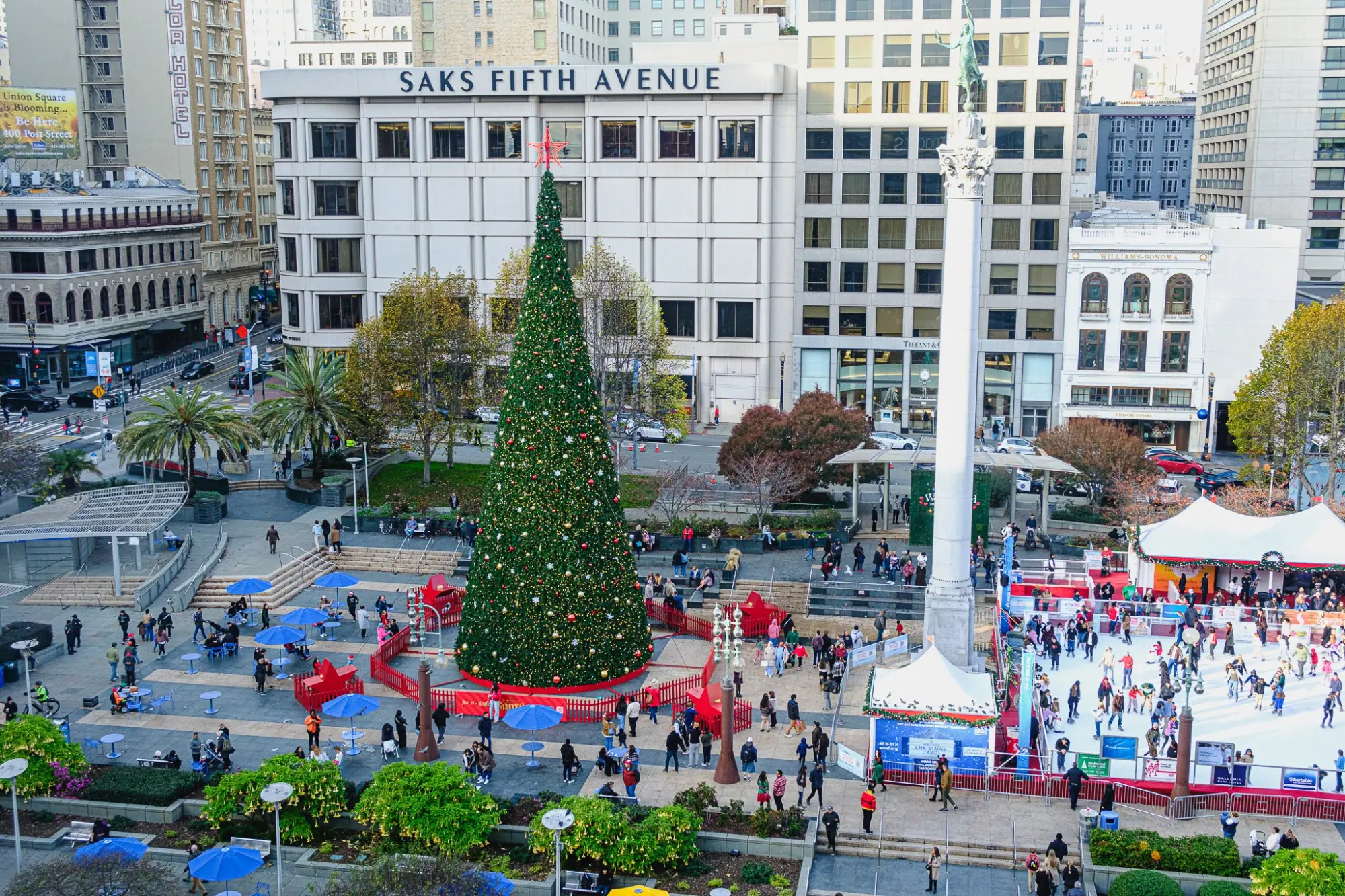 Photo from We also made our way to the top of Macy’s for a breathtaking view of Union Square, San Francisco & Sebastopol, CA