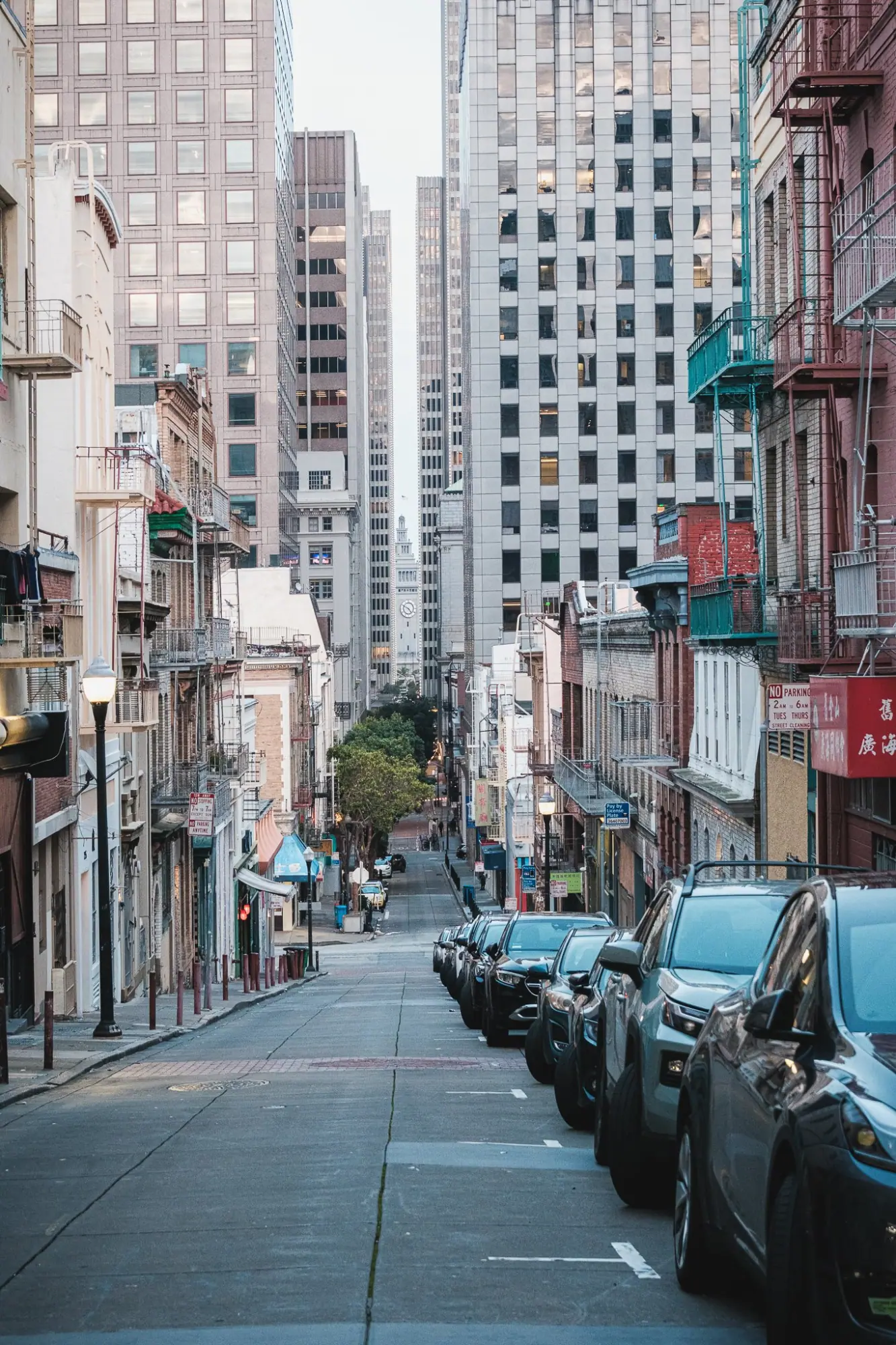 Photo from Chinatown and North Beach Adventures at Vesuvio, San Francisco & Sebastopol, CA