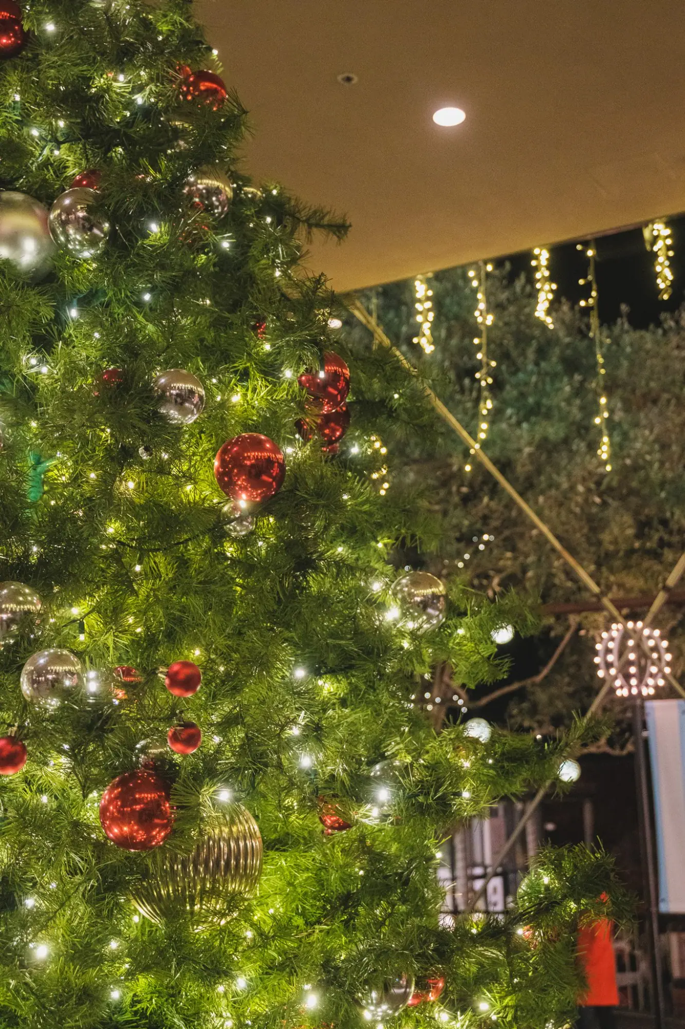 Photo from Finally, we stopped by Ghirardelli Square to see its holiday decorations, San Francisco & Sebastopol, CA