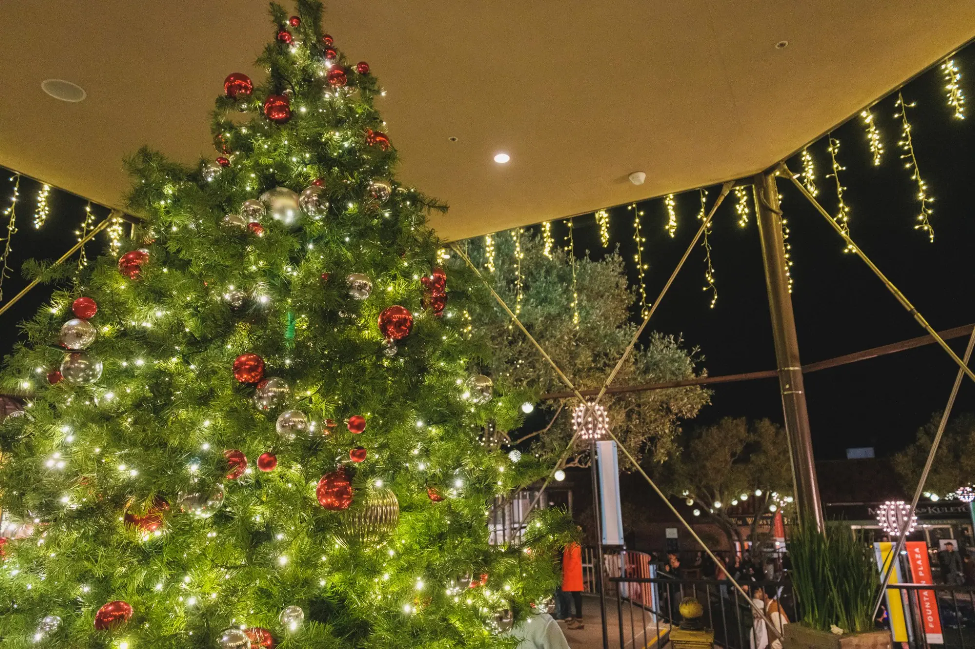 Photo from Finally, we stopped by Ghirardelli Square to see its holiday decorations, San Francisco & Sebastopol, CA