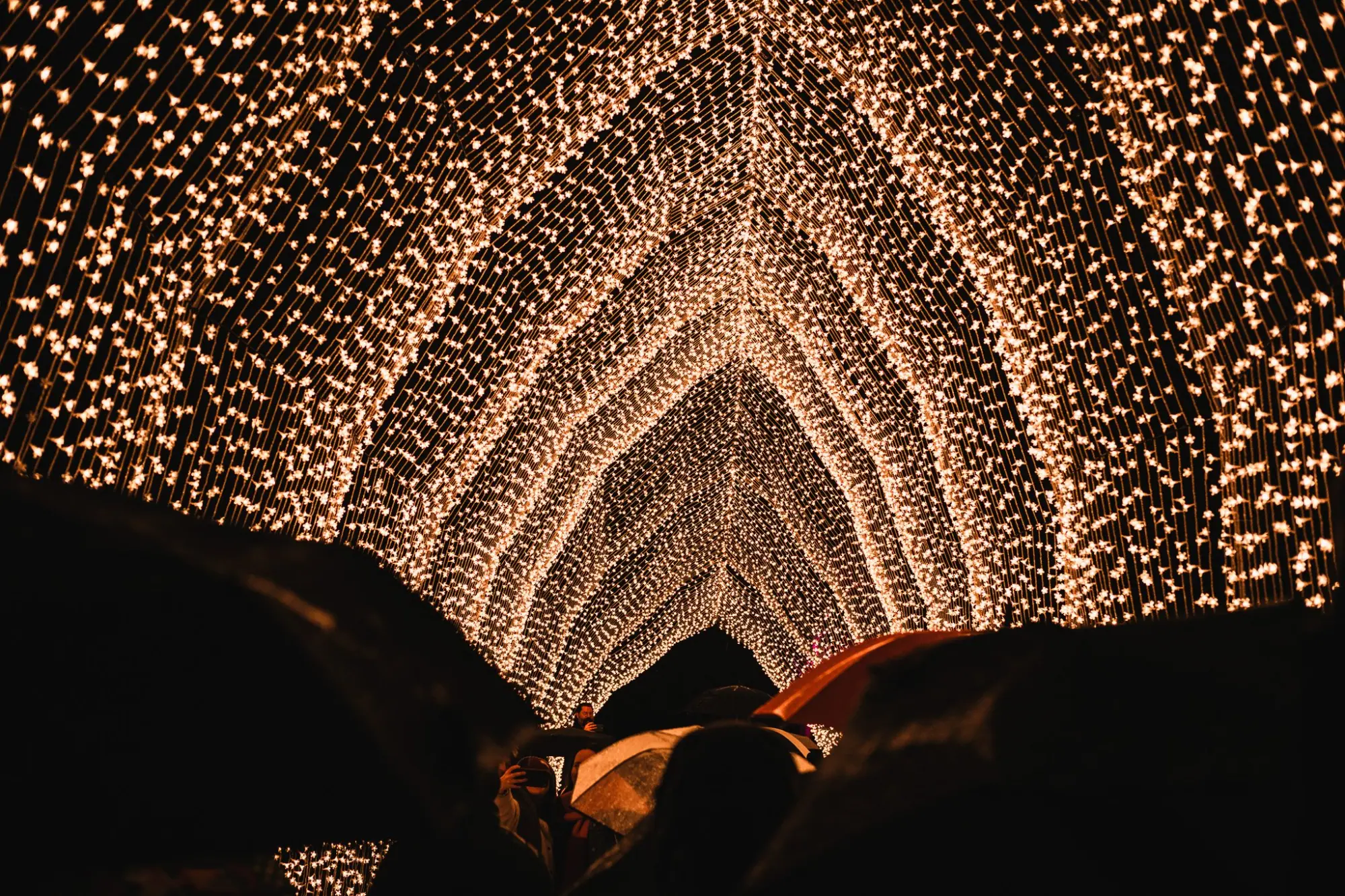 Photo from A Night at Lightscape, San Francisco, CA