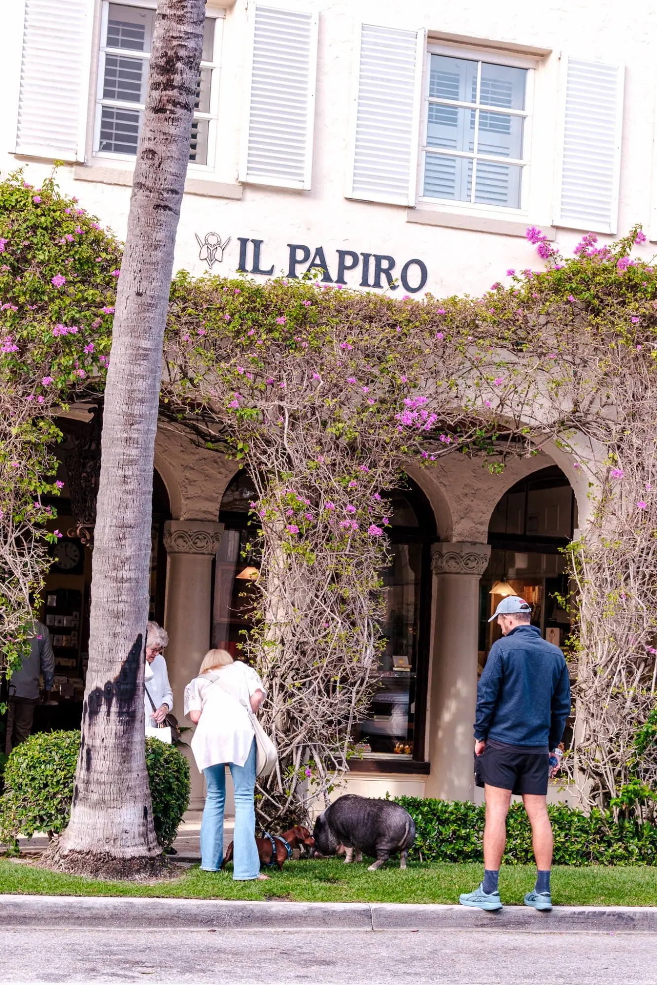 Photo from After lunch, we walked down Worth Avenue, admiring its Mediterranean-inspired architecture, quiet…, Palm Beach & Miami, FL